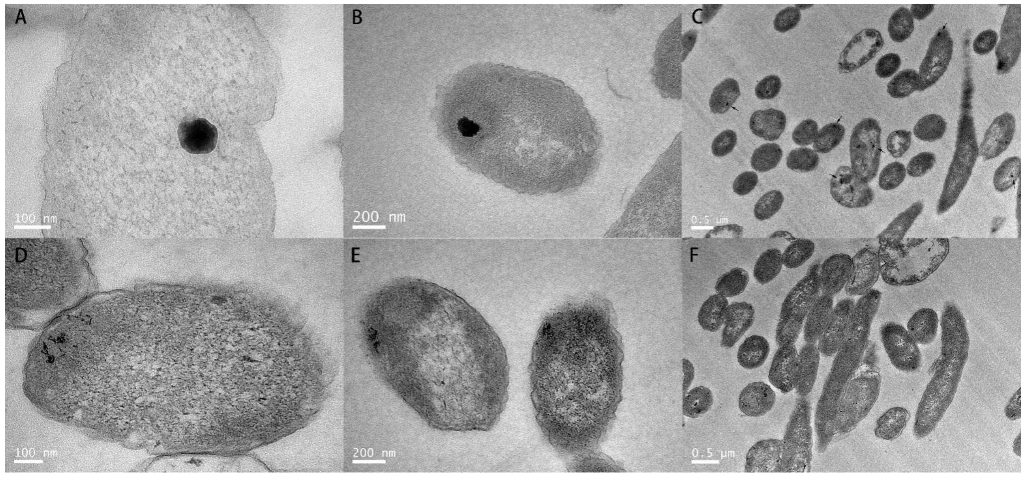 Microorganisms 10 00095 g002