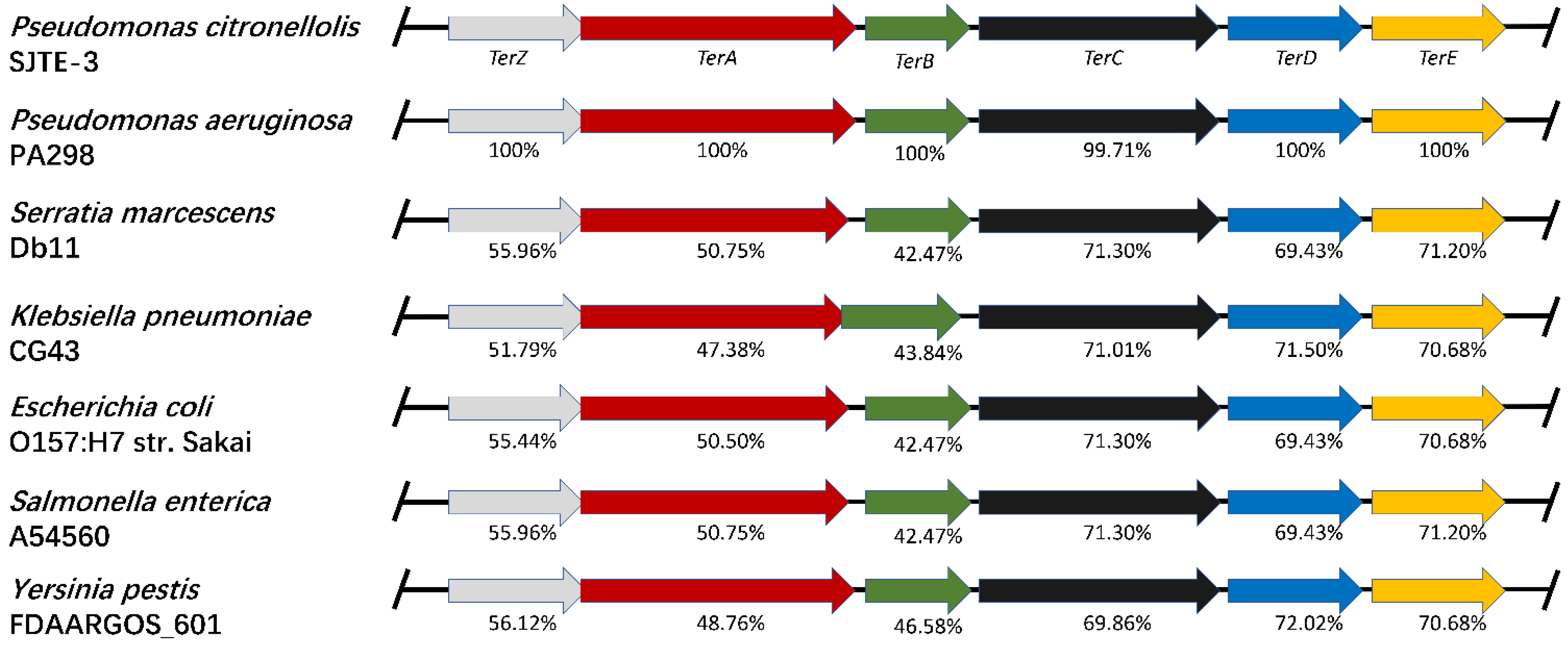 Microorganisms 10 00095 g003