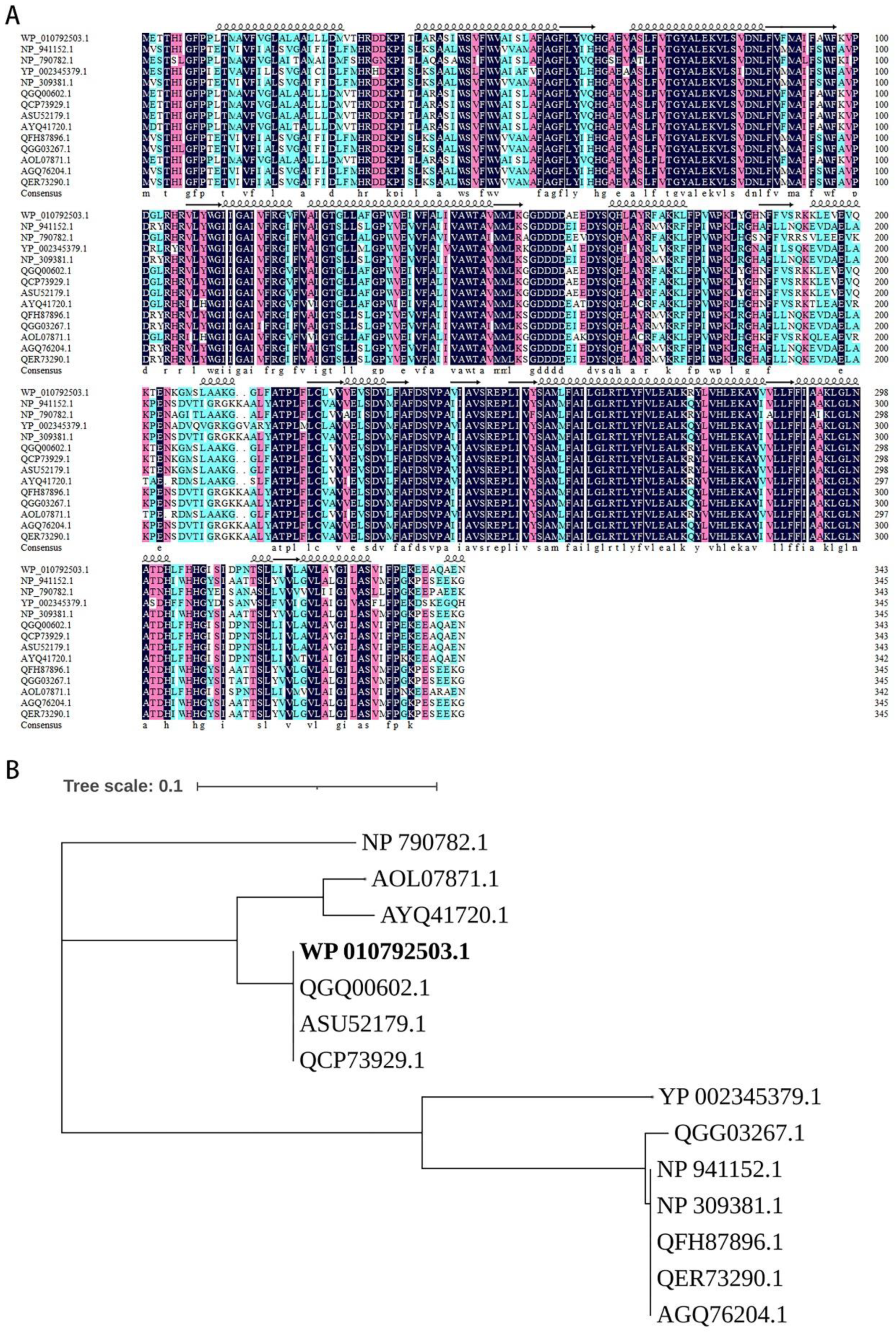Microorganisms 10 00095 g004