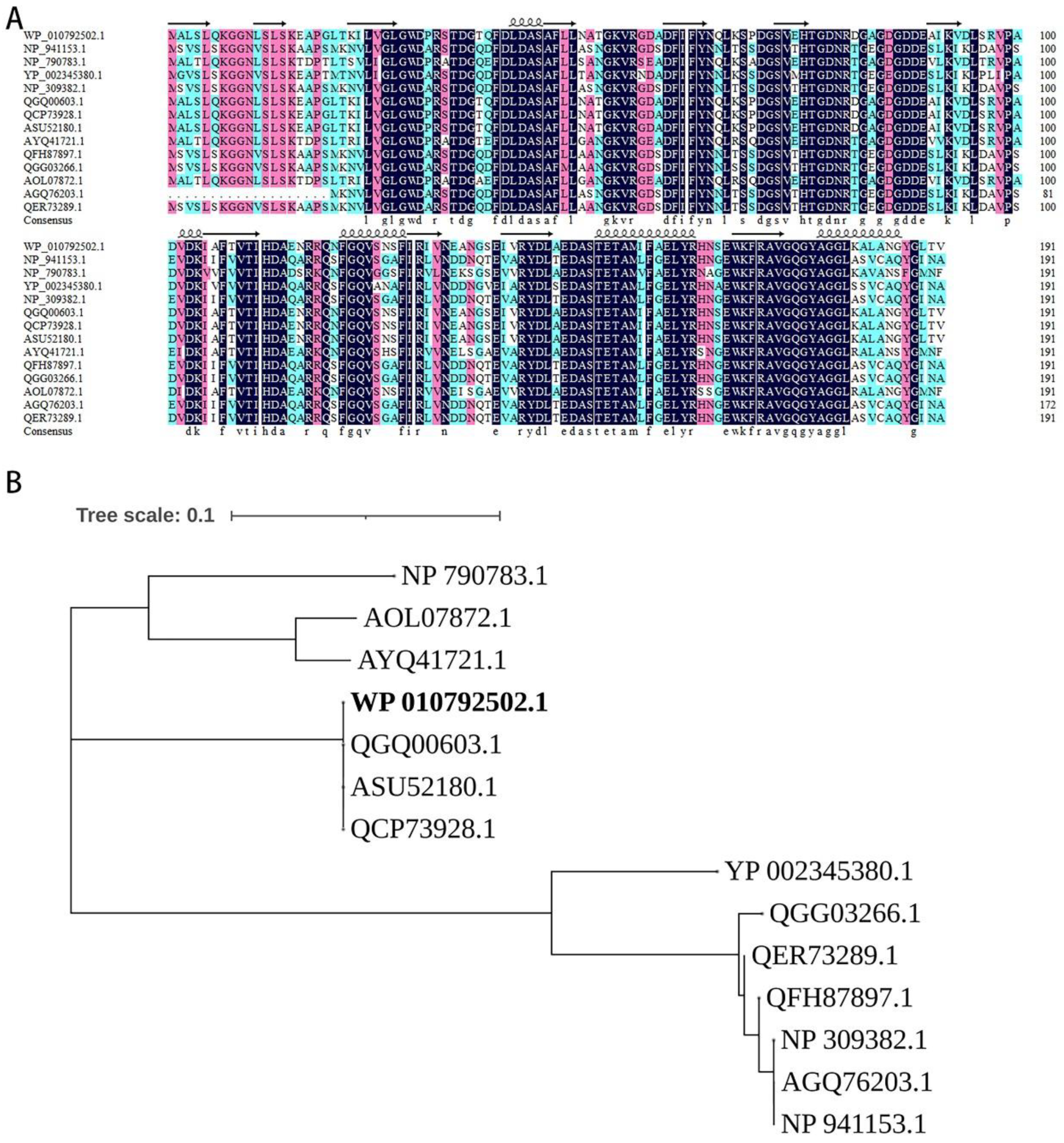 Microorganisms 10 00095 g005