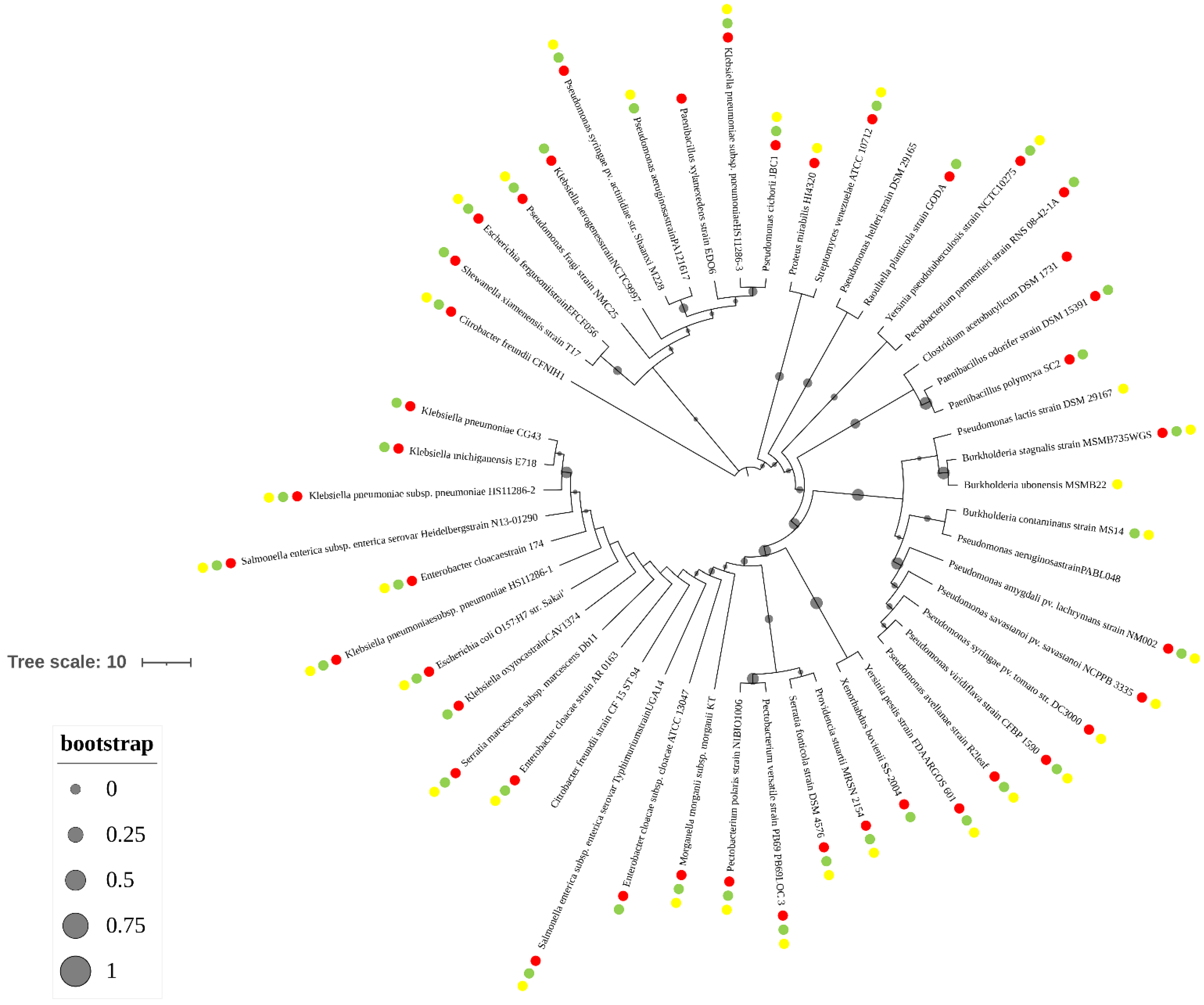 Microorganisms 10 00095 g006