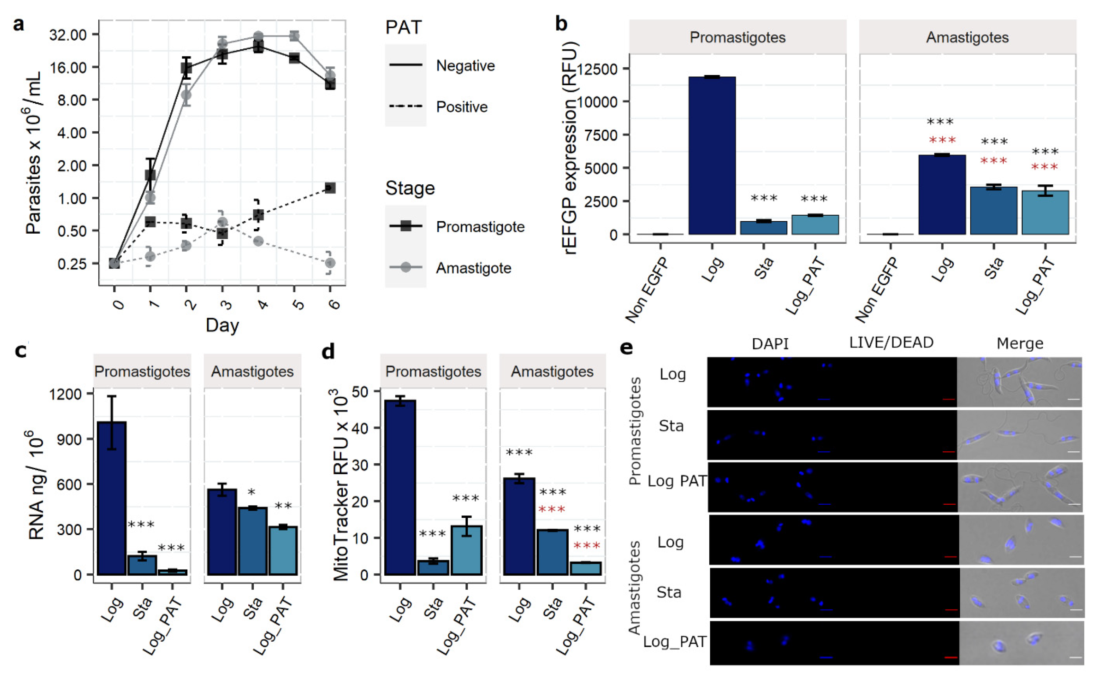 Microorganisms 10 00097 g001 Microorganisms 10 00097 g001