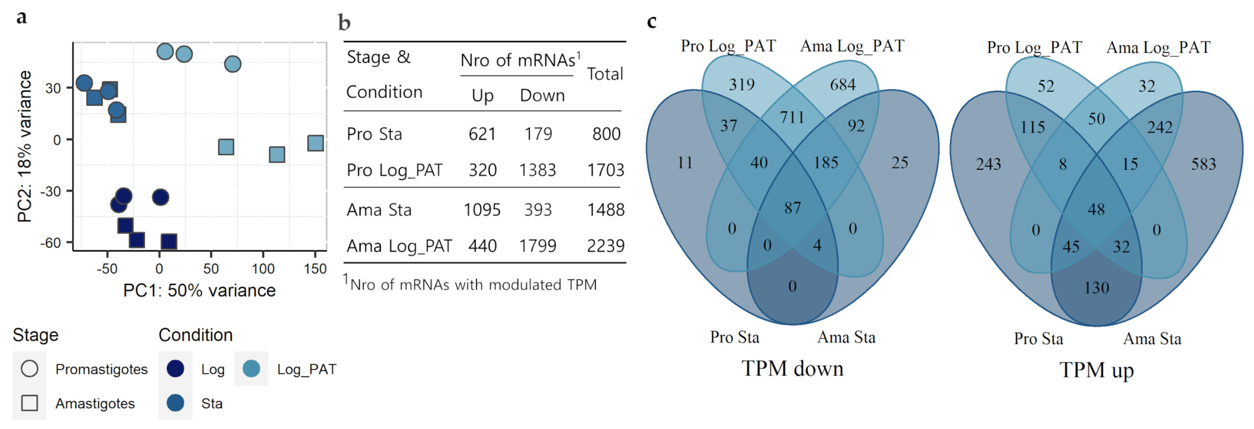 Microorganisms 10 00097 g003 Microorganisms 10 00097 g003