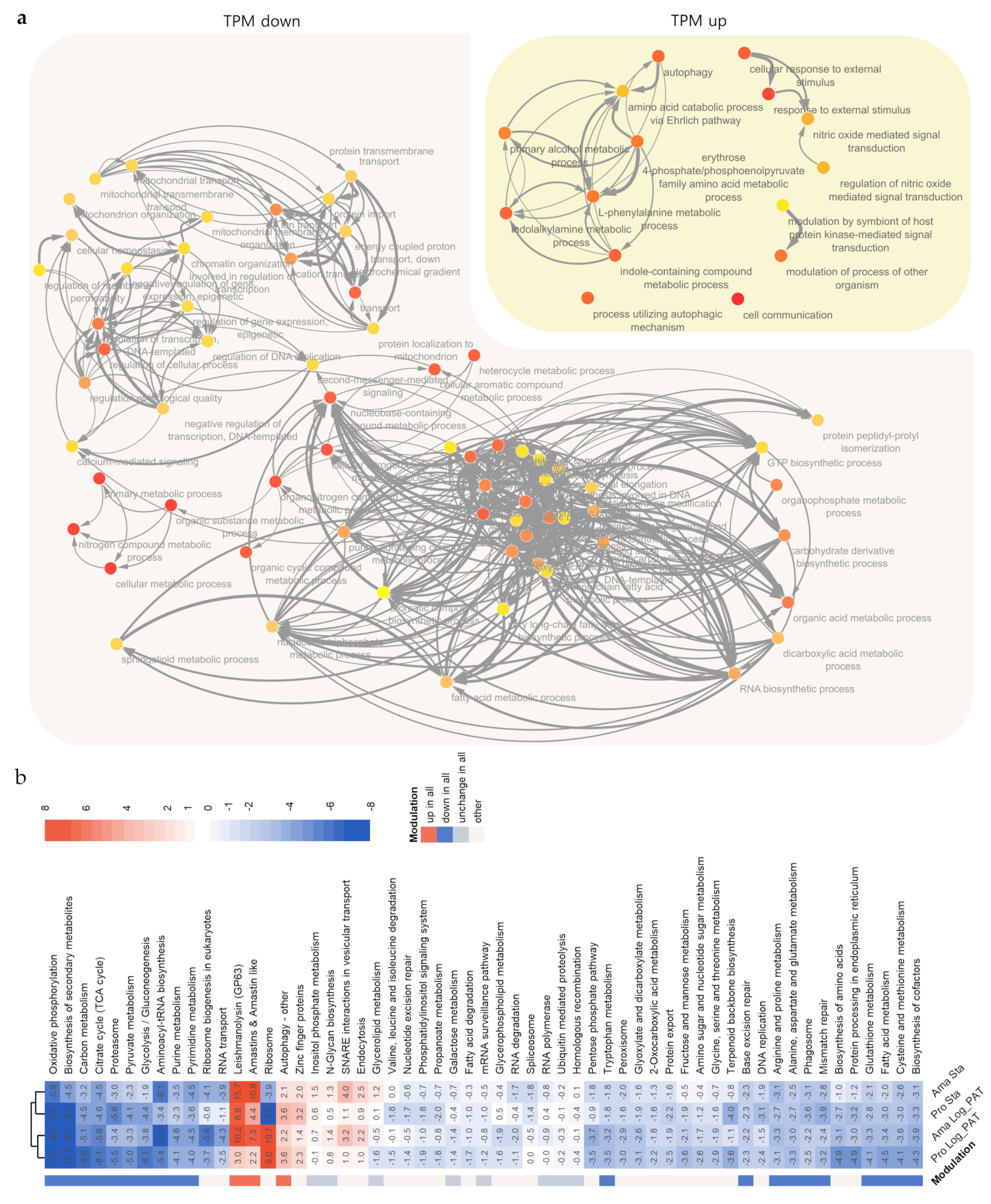 Microorganisms 10 00097 g004 Microorganisms 10 00097 g004