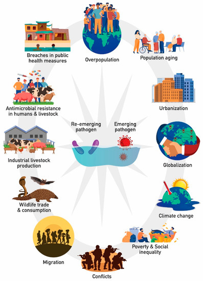 Emerging and Re-Emerging Infectious Diseases: Humankind&rsquo;s Companions  and Competitors