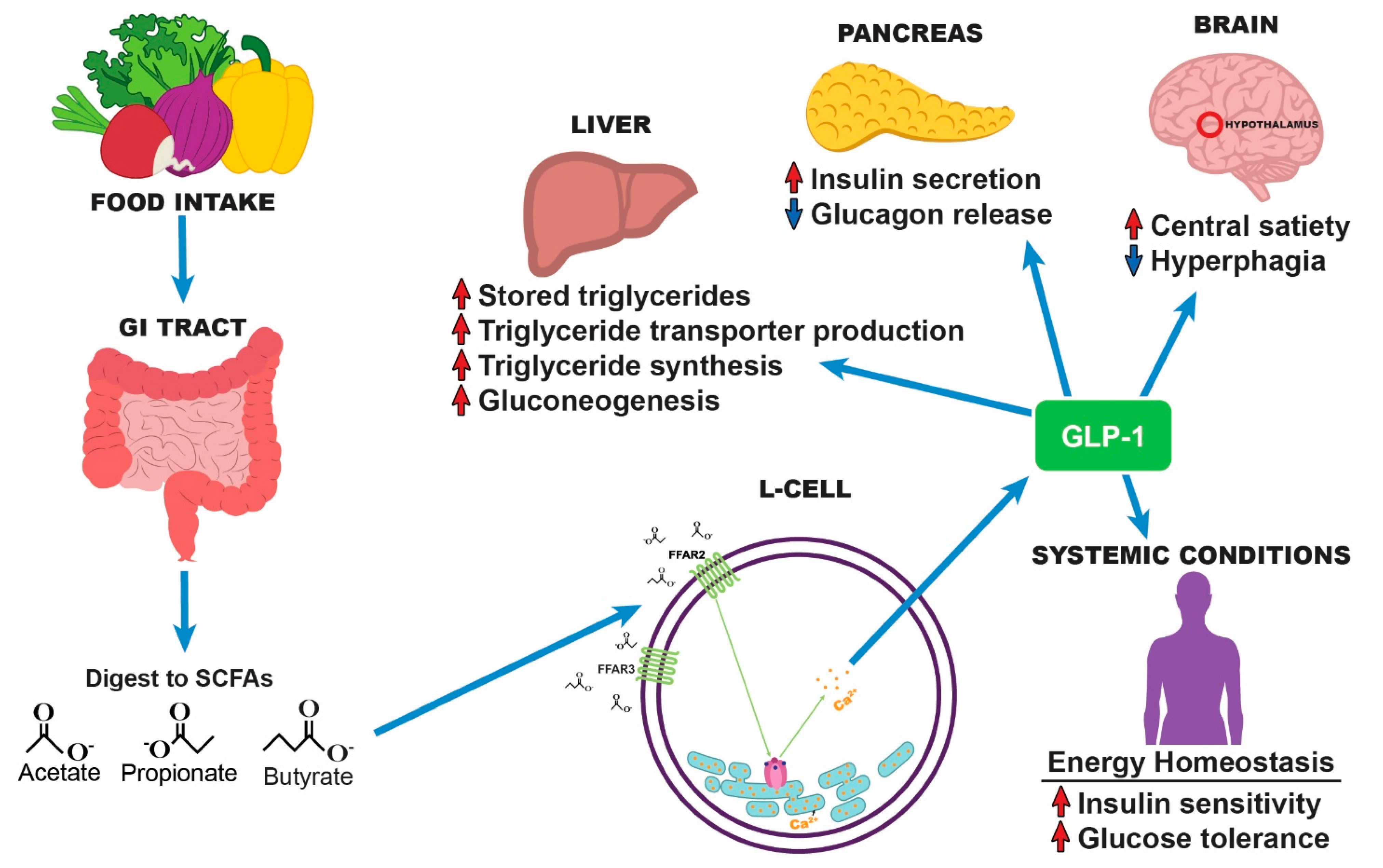 Microorganisms 10 00108 g002 550