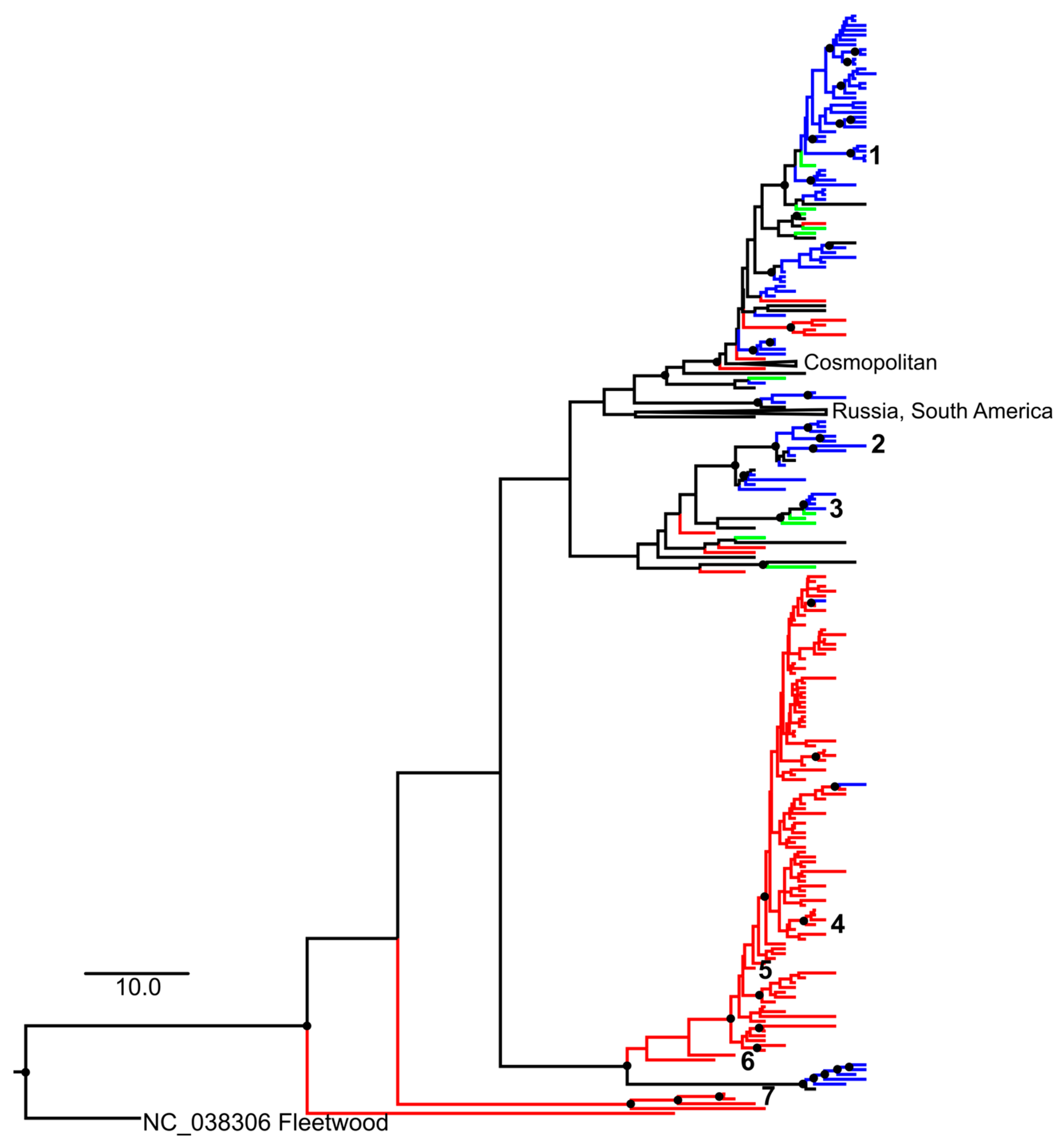 Microorganisms 10 00112 g001