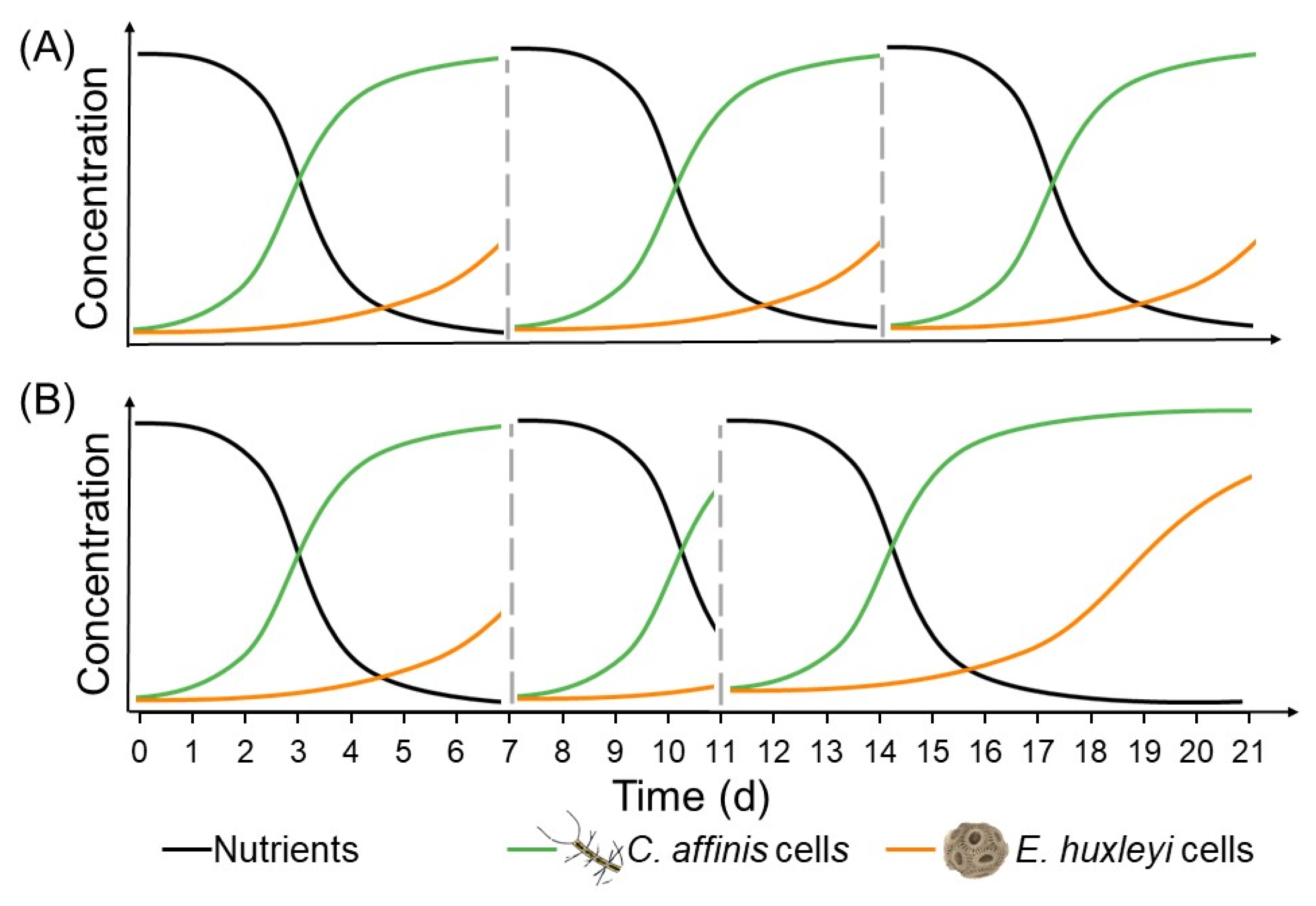 Microorganisms 10 00113 g001 550