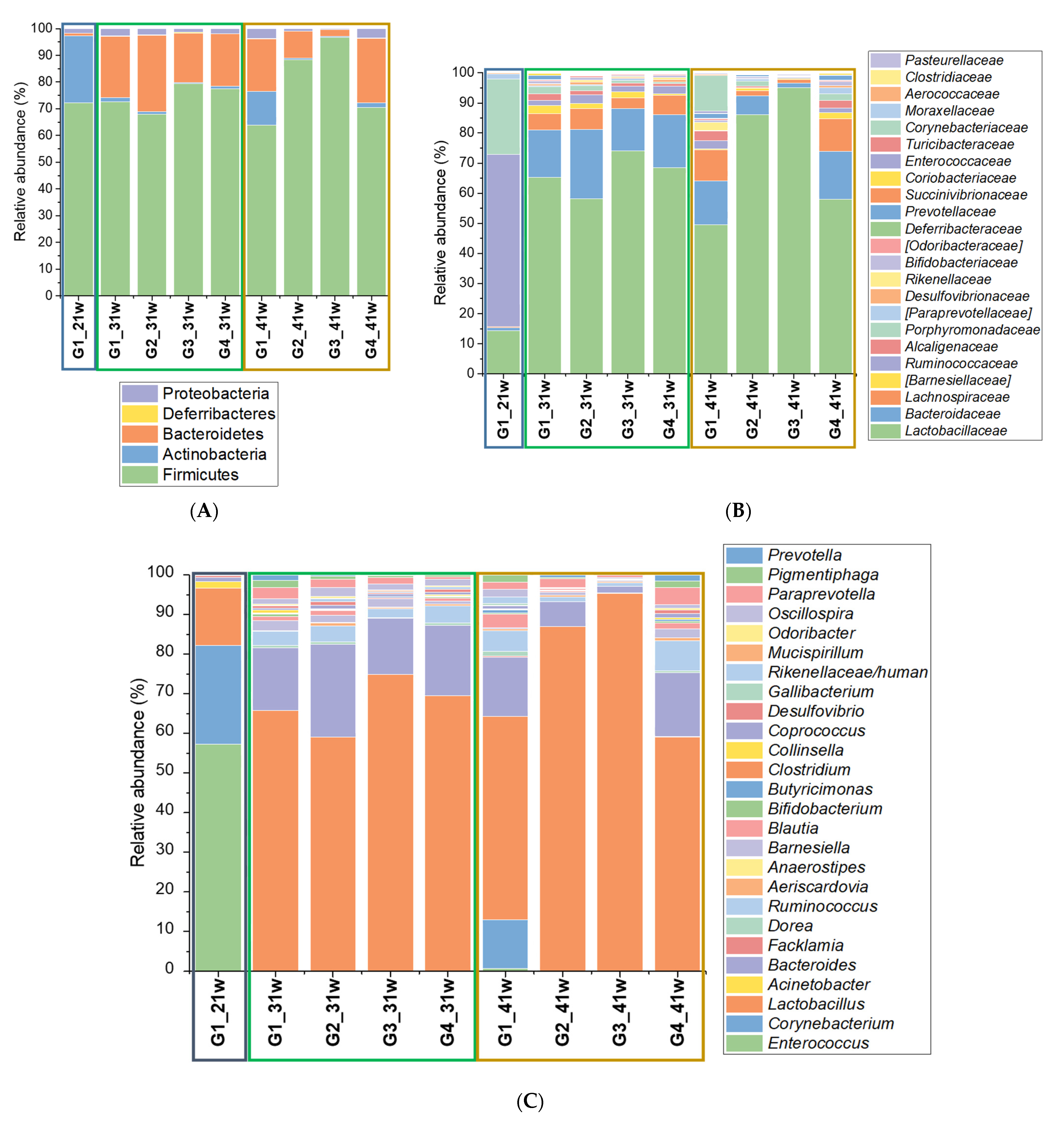 Microorganisms 10 00117 g001