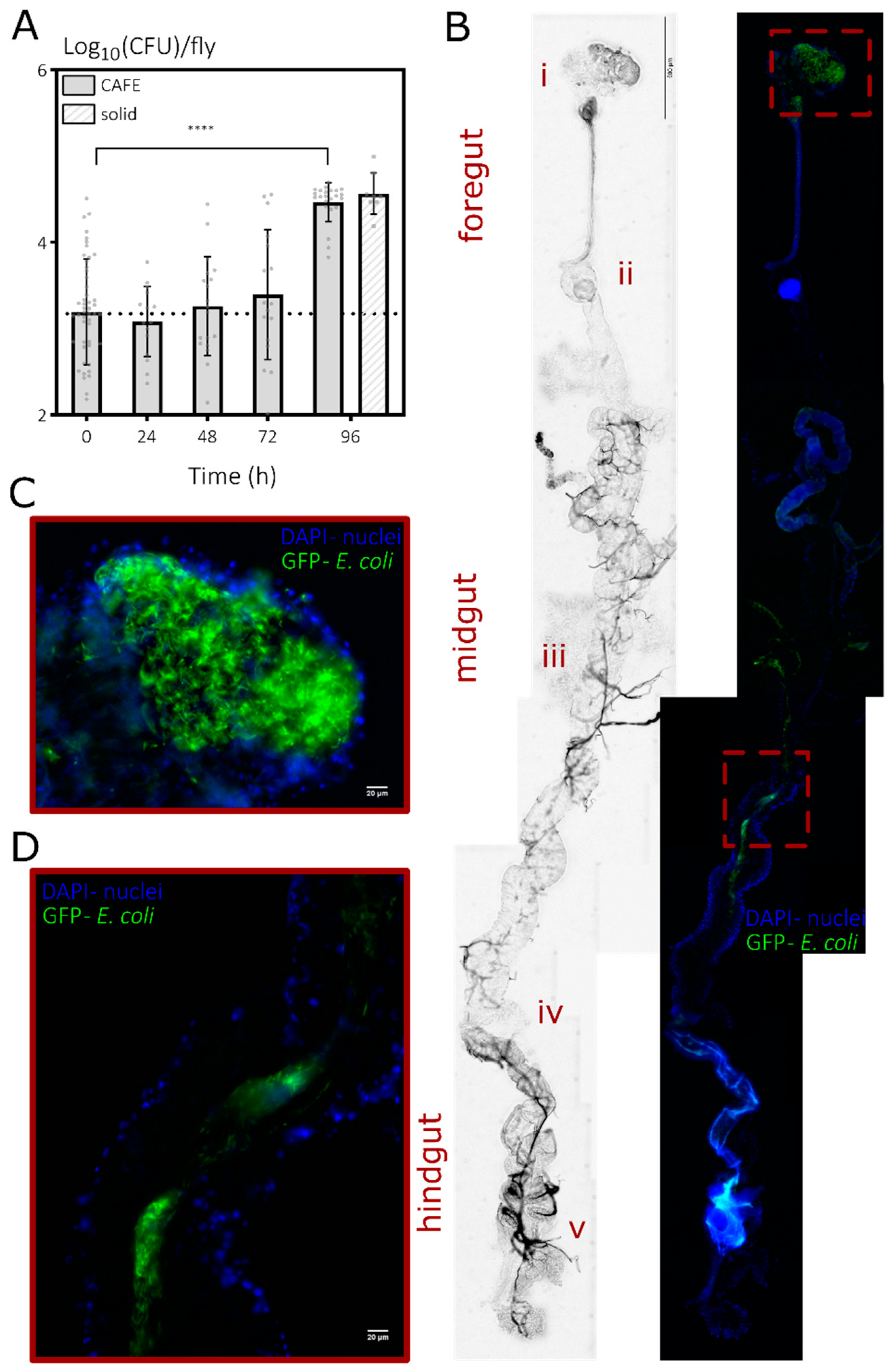 Microorganisms 10 00119 g002 550
