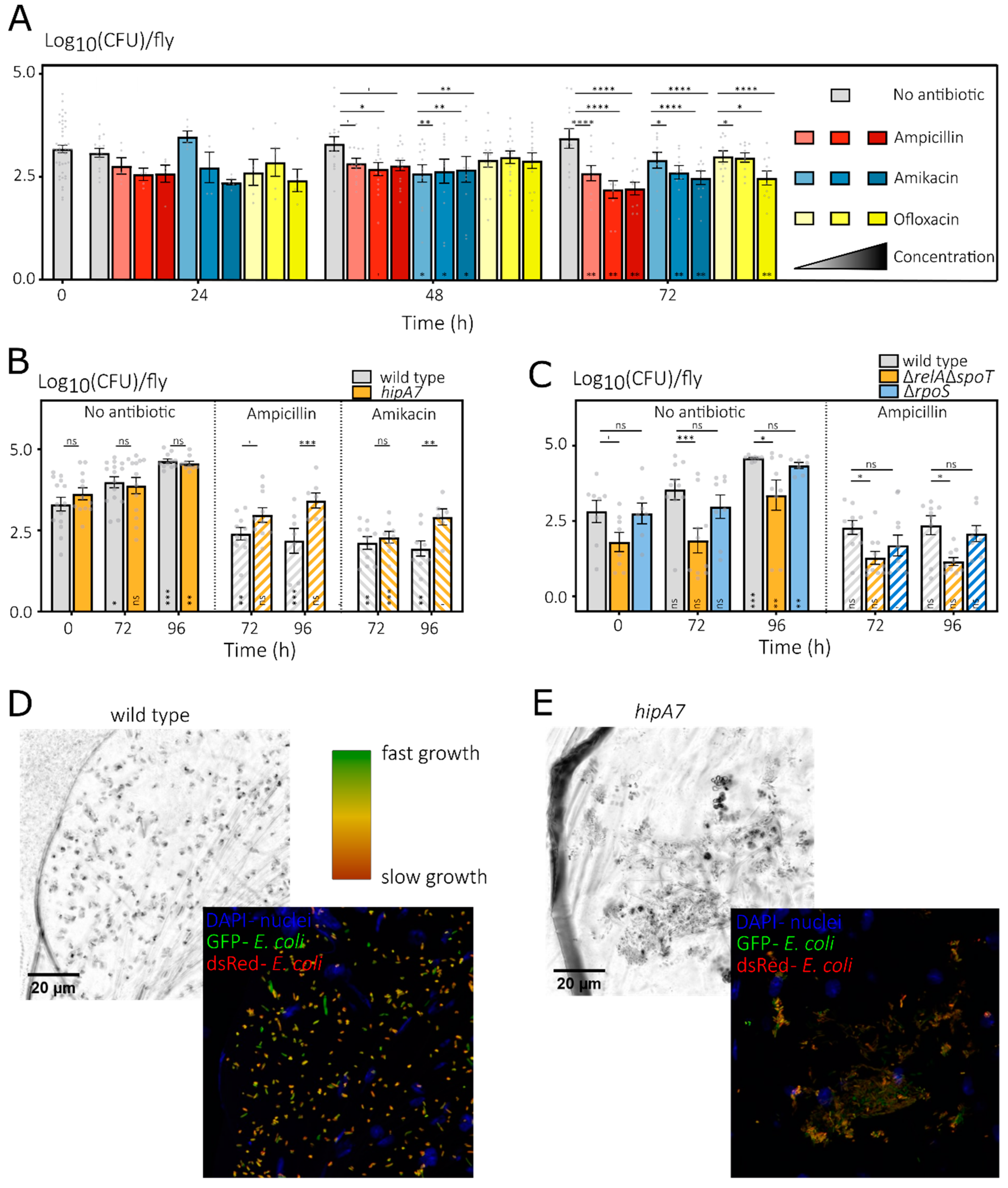 Microorganisms 10 00119 g003 550