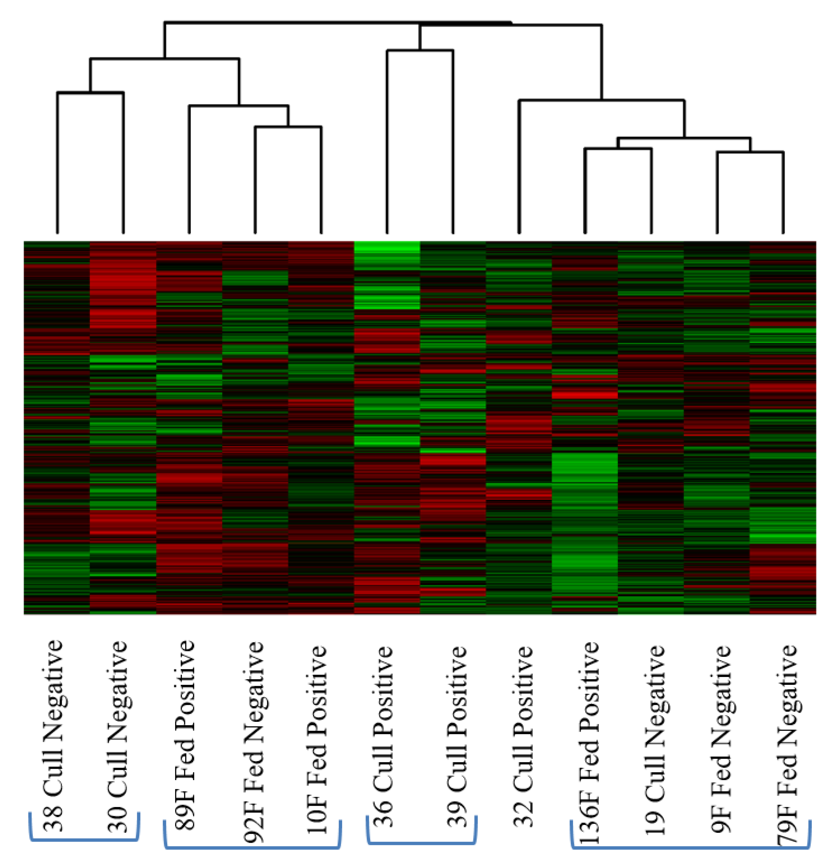 Microorganisms 10 00120 g002 Microorganisms 10 00120 g002