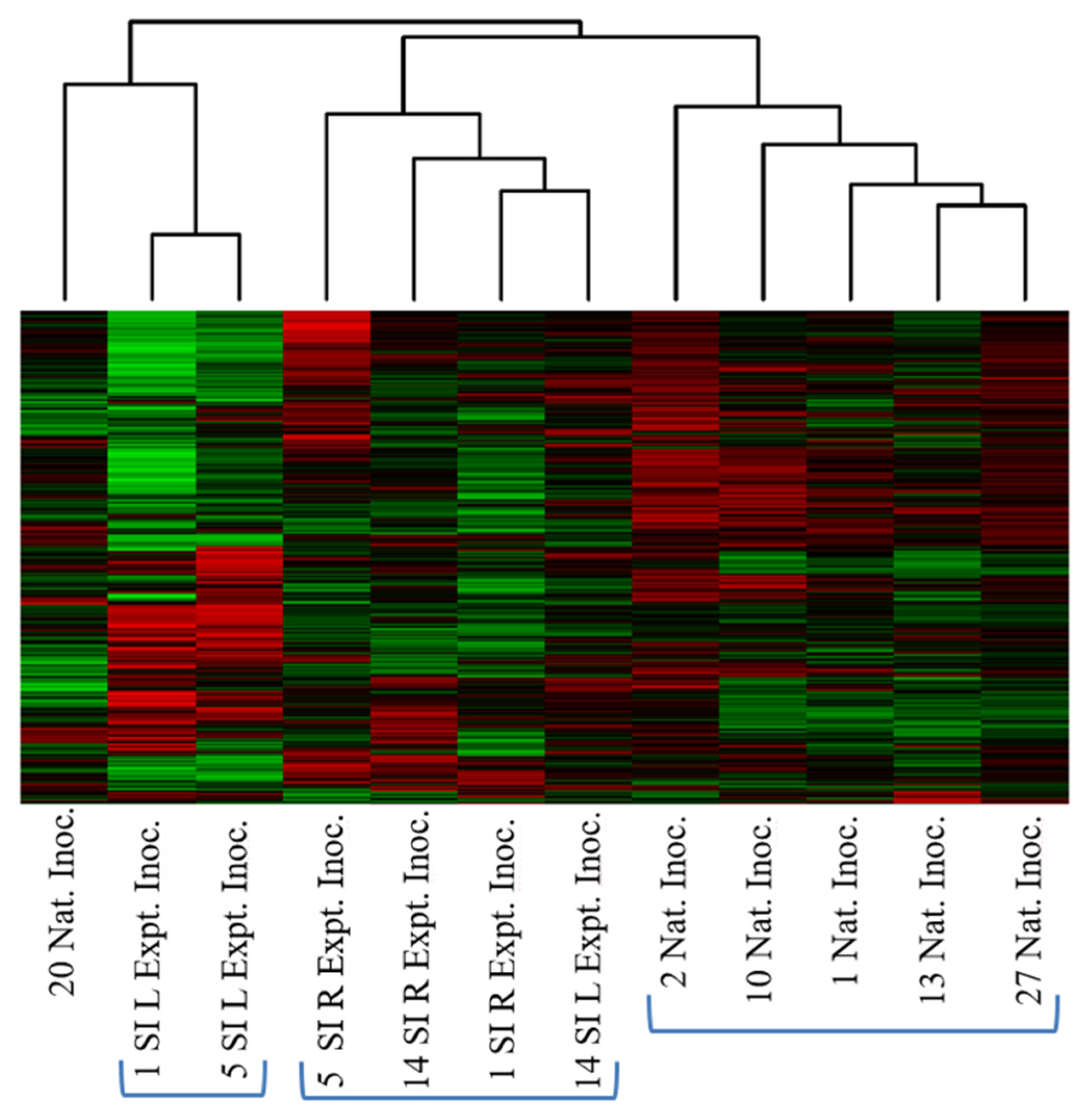 Microorganisms 10 00120 g006 Microorganisms 10 00120 g006