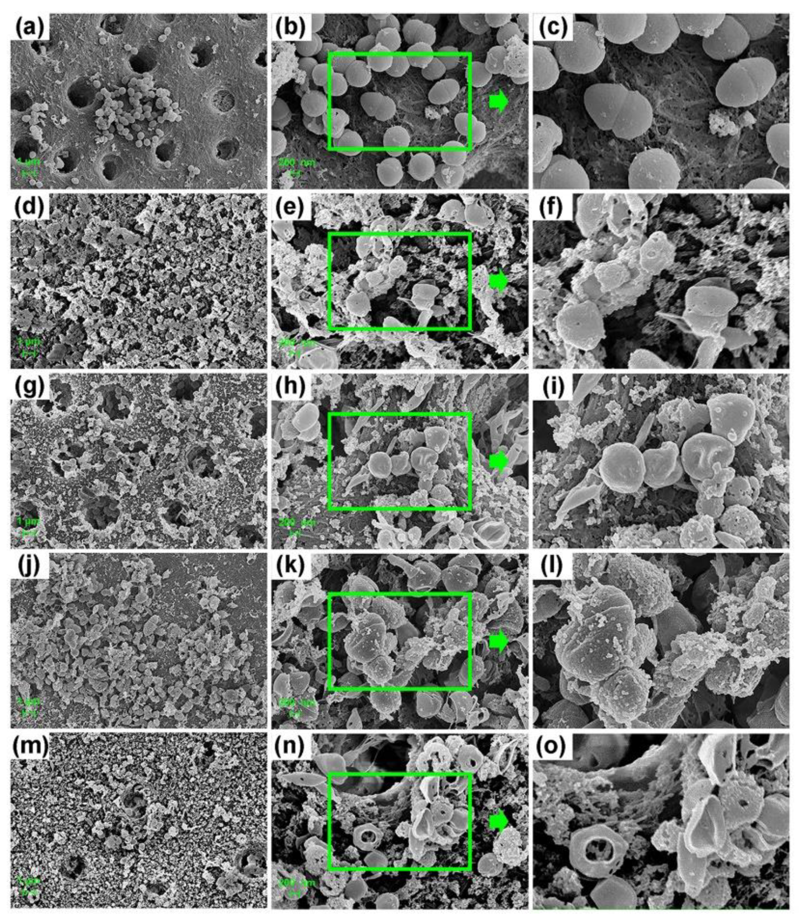 Microorganisms 10 00124 g003