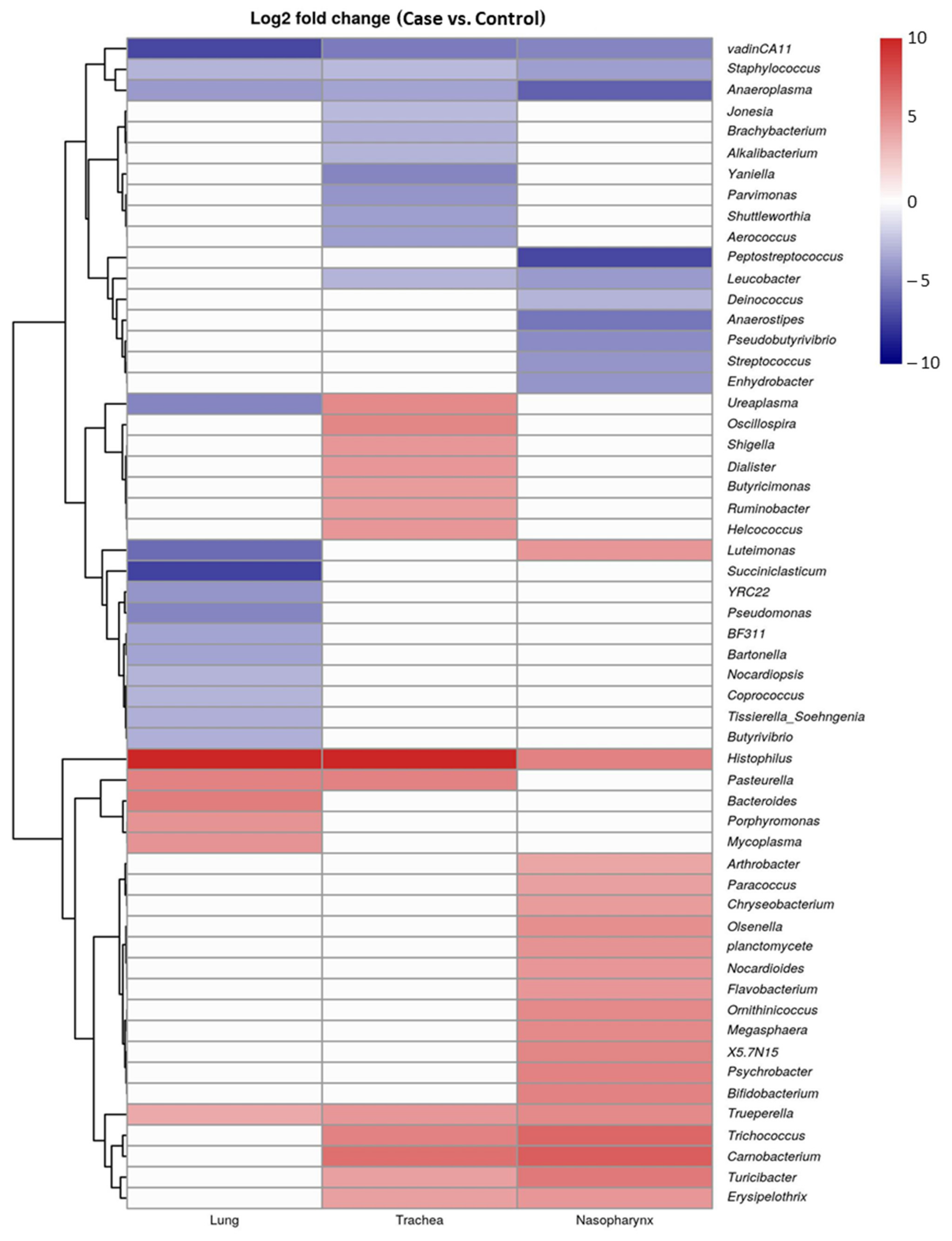 Microorganisms 10 00134 g004