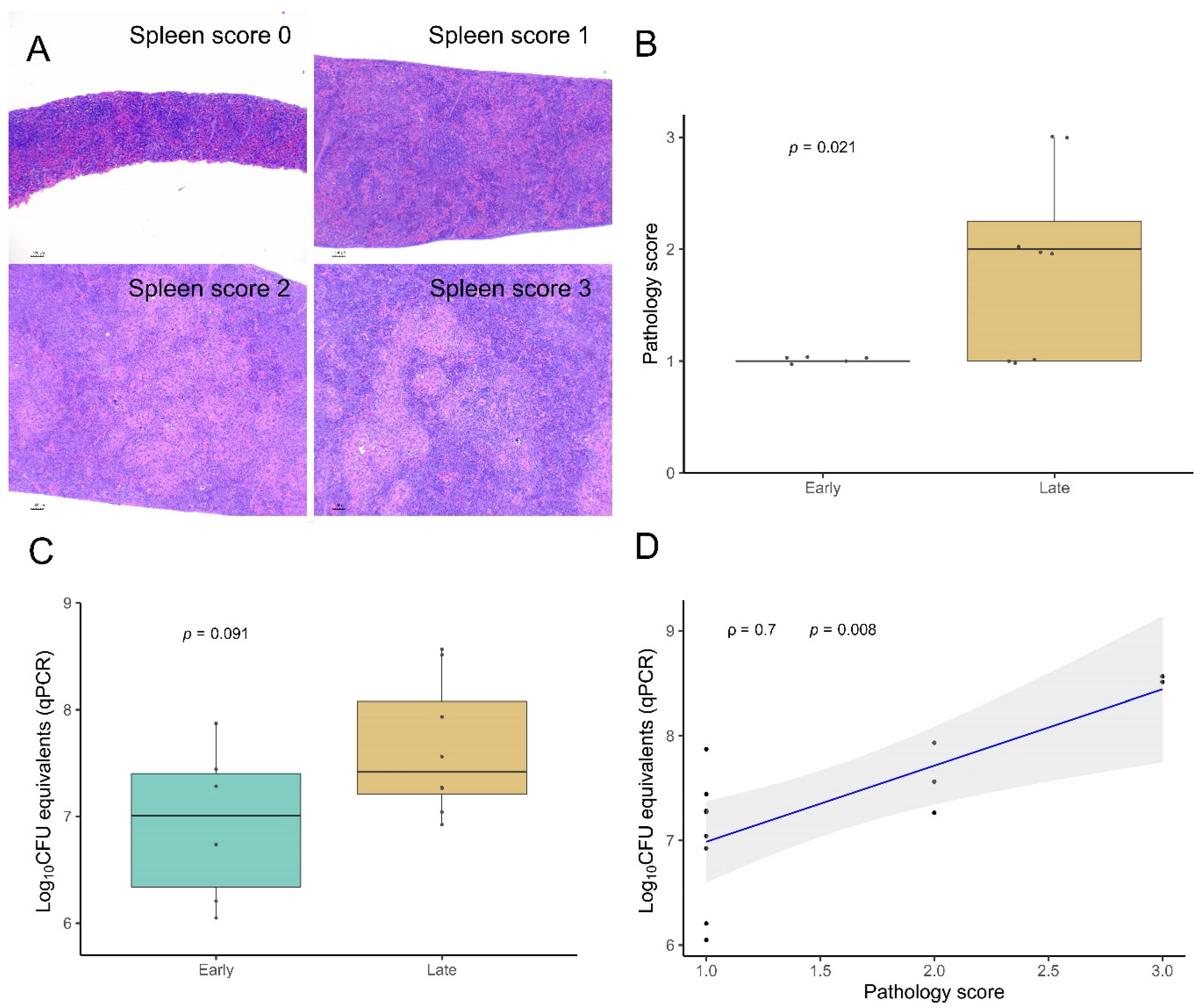 Microorganisms 10 00135 g003