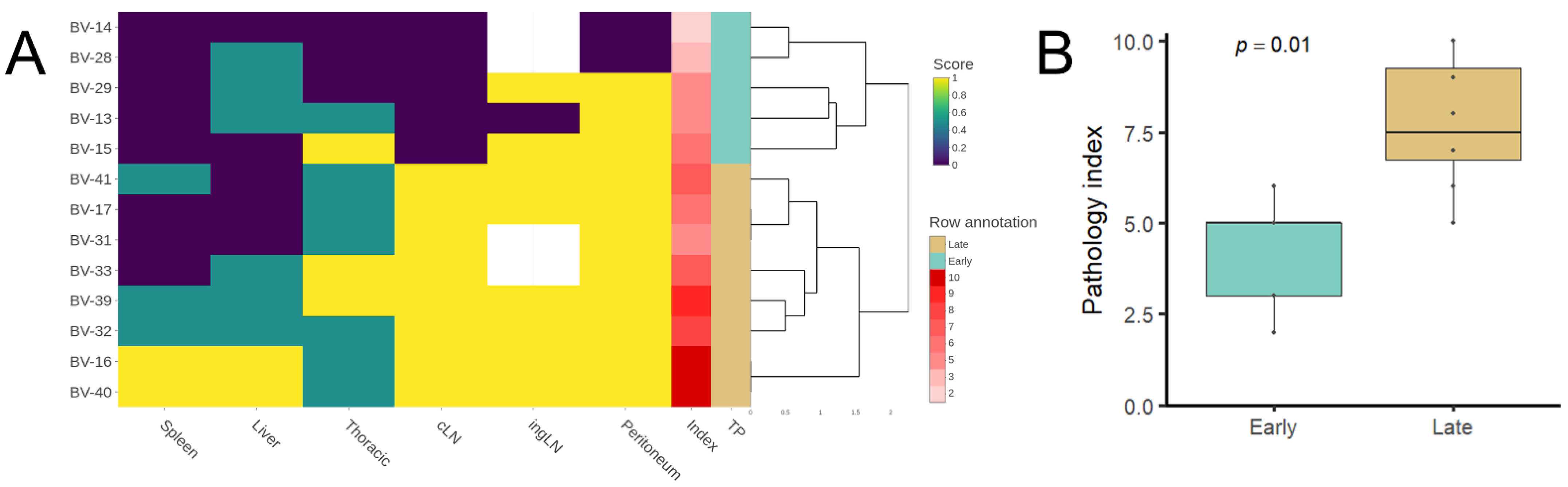 Microorganisms 10 00135 g005