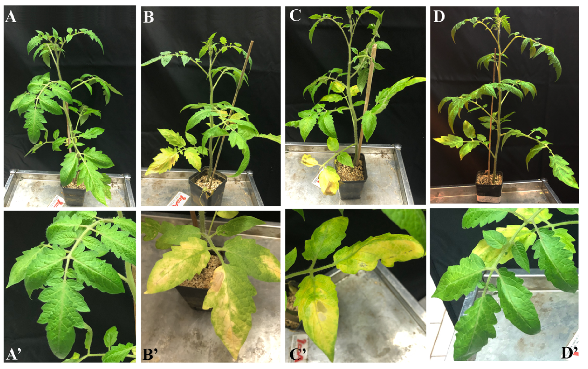 Microorganisms 10 00136 g006 550