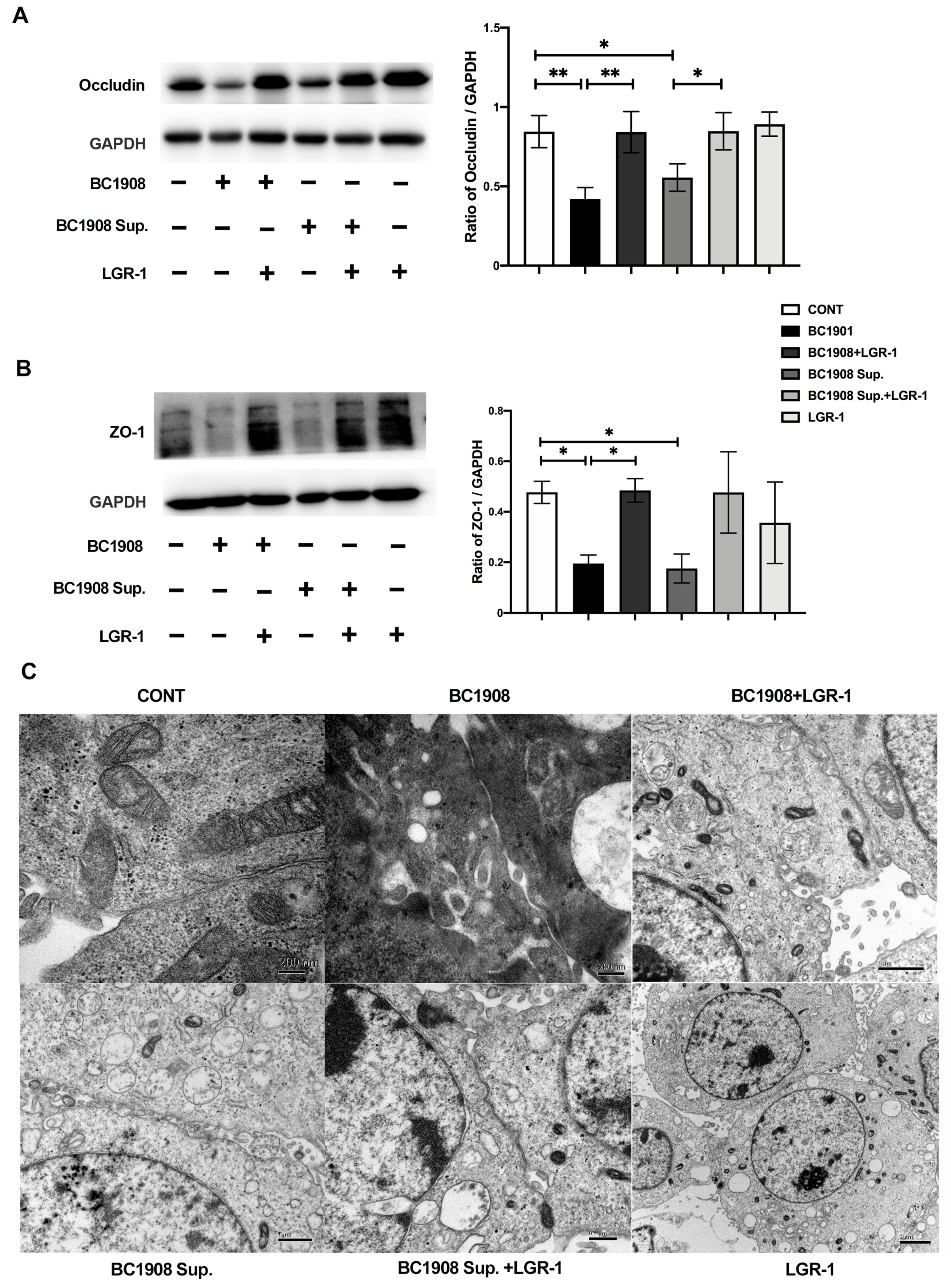 Microorganisms 10 00137 g004
