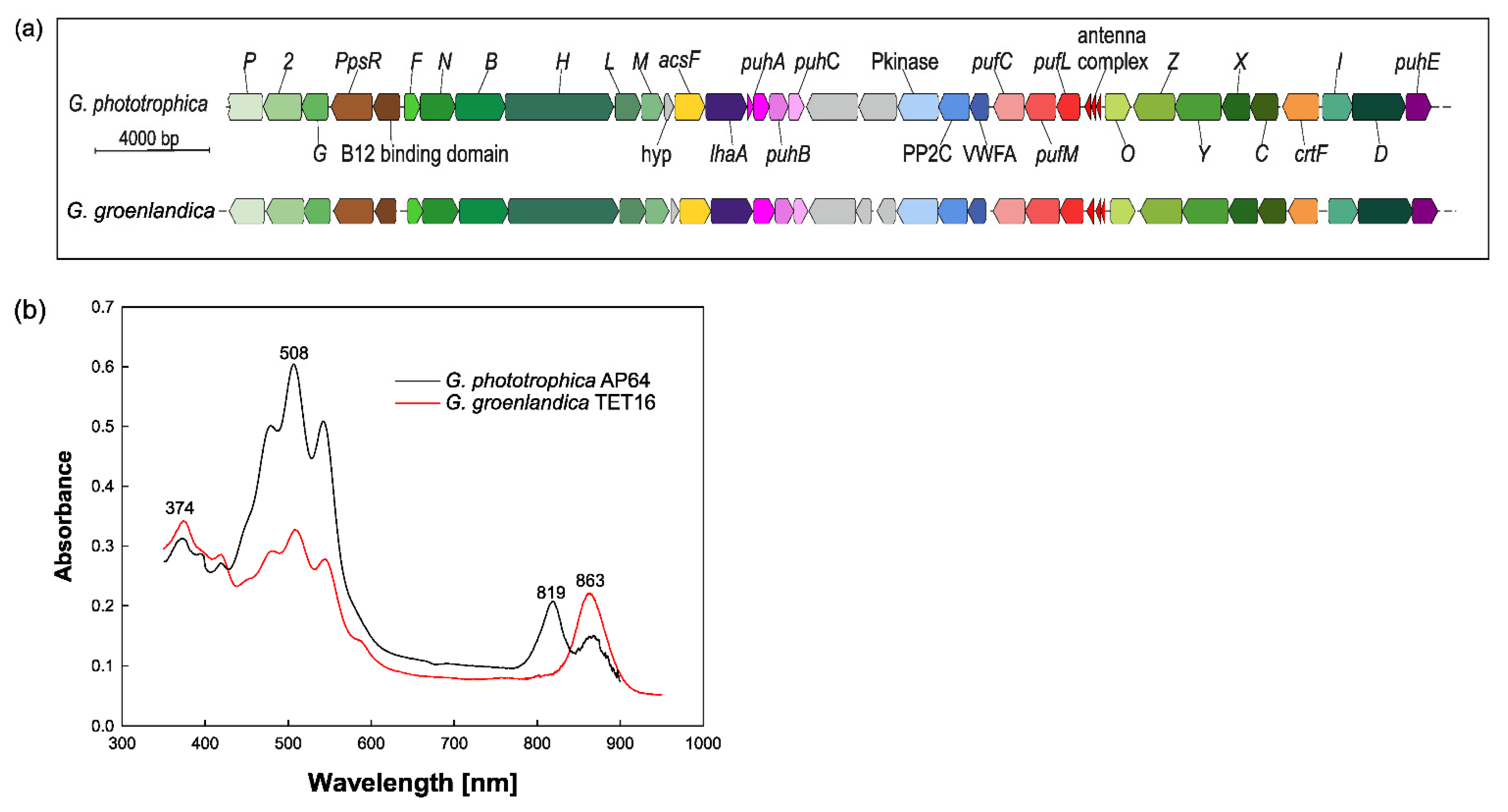 Microorganisms 10 00151 g004