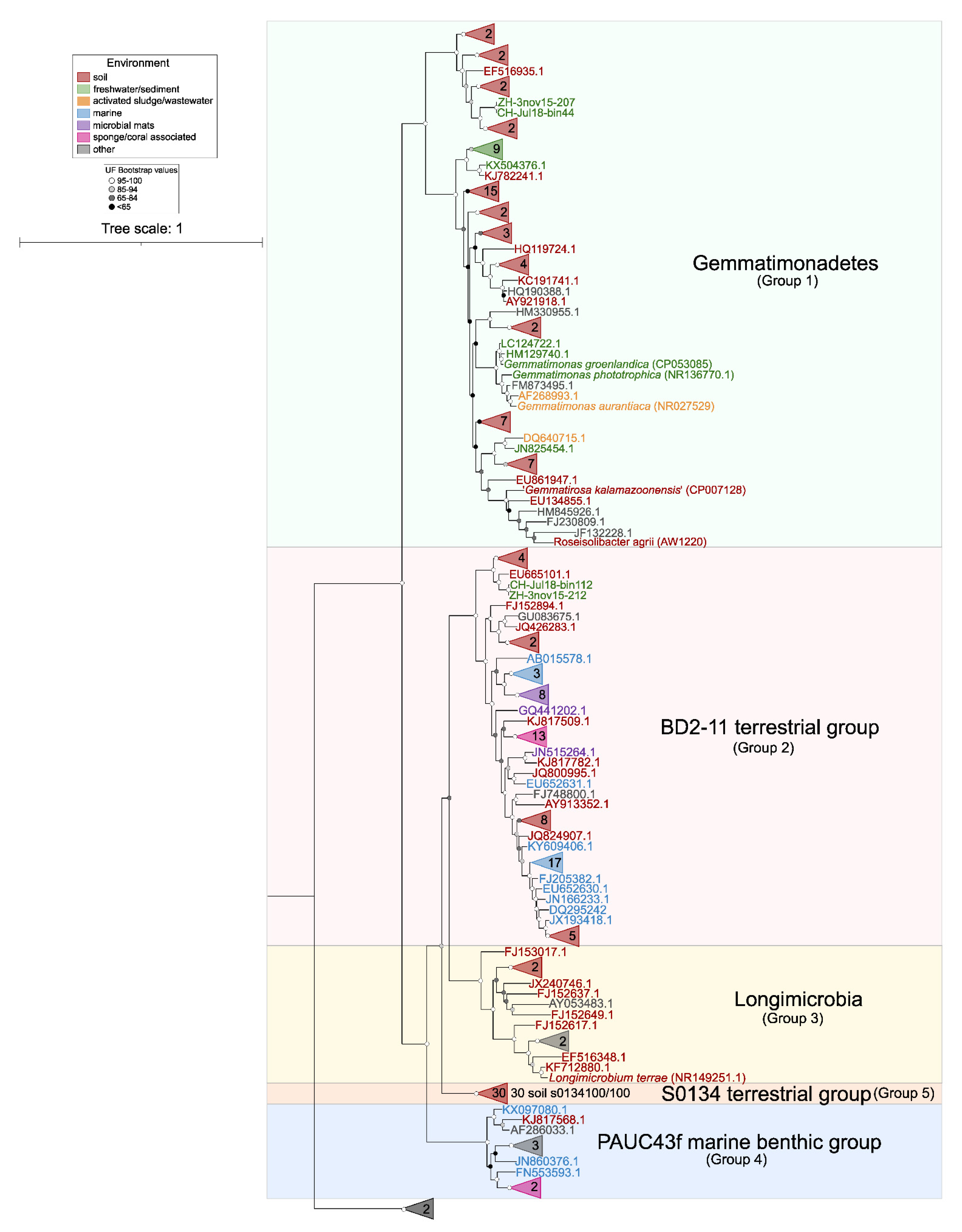 Microorganisms 10 00151 g005