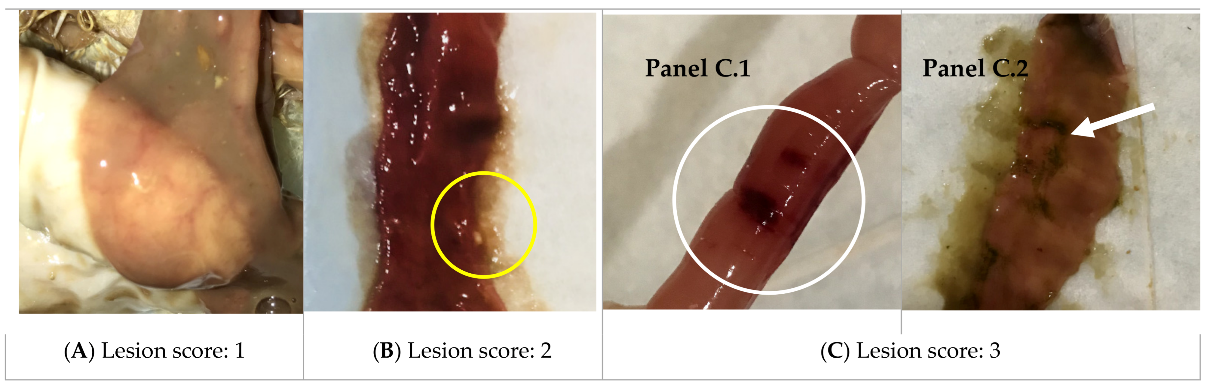 Microorganisms 10 00152 g006