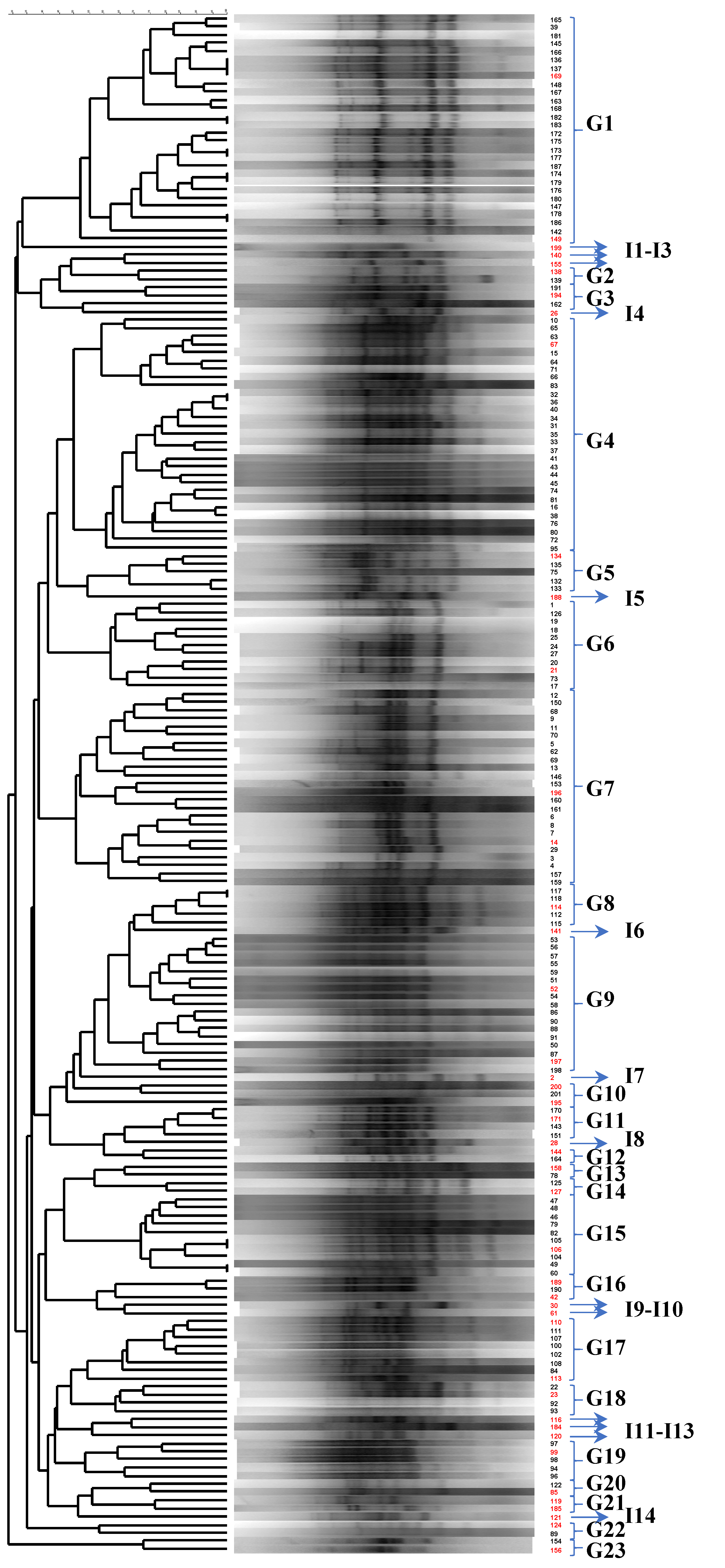 Microorganisms 10 00161 g001 Microorganisms 10 00161 g001