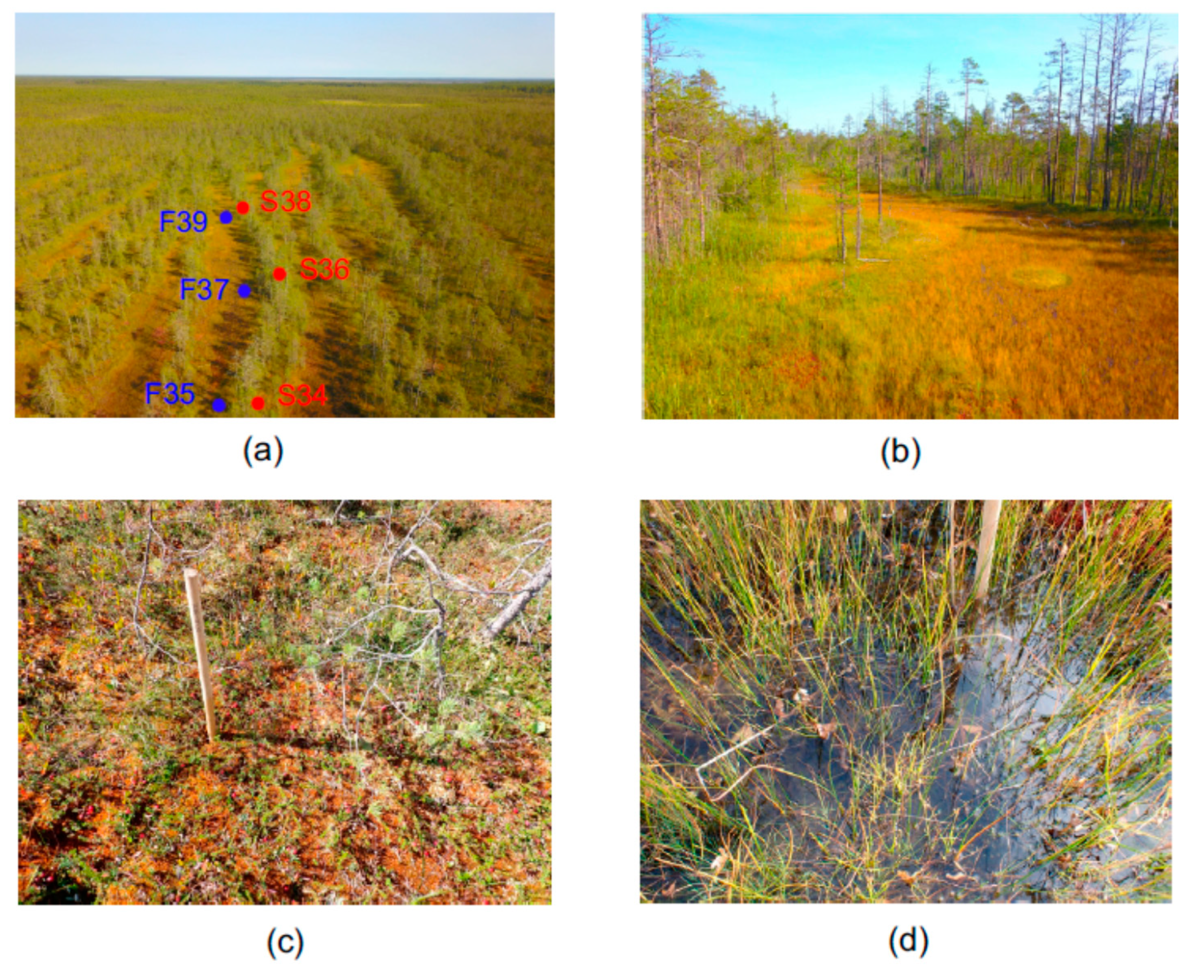 Microorganisms 10 00170 g001