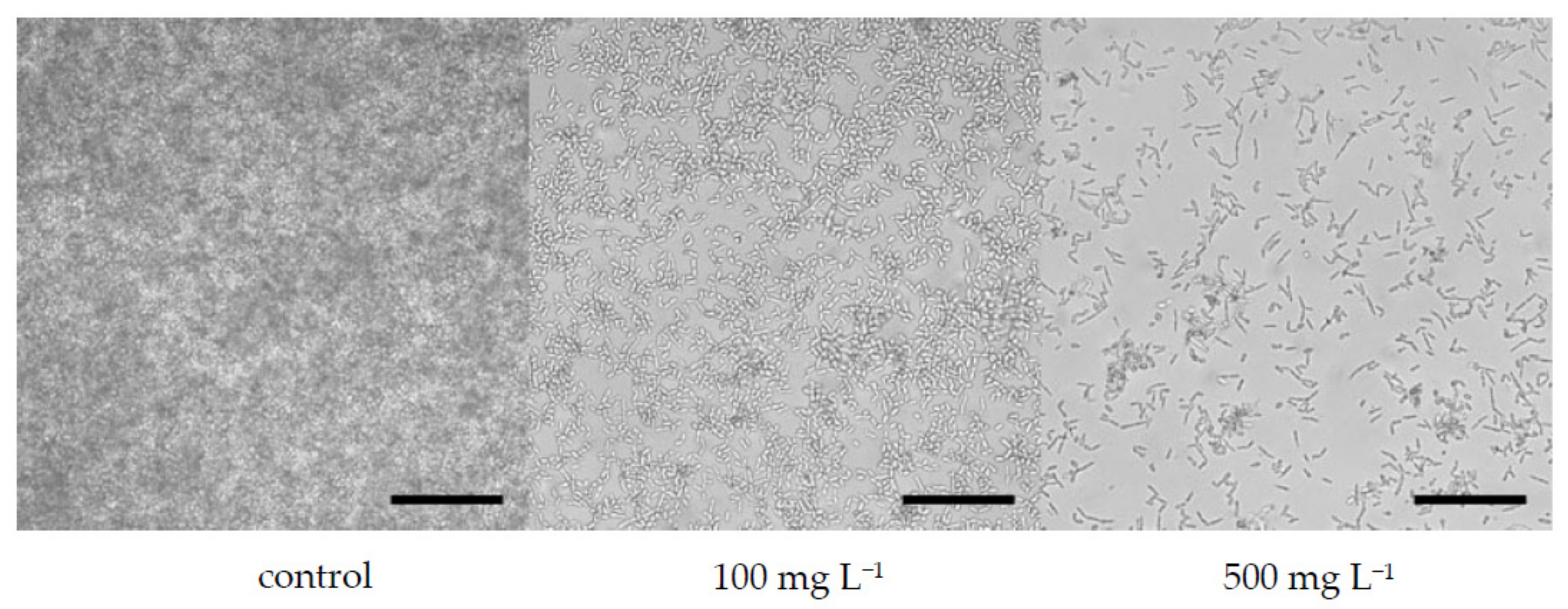 Microorganisms 10 00171 g003 550