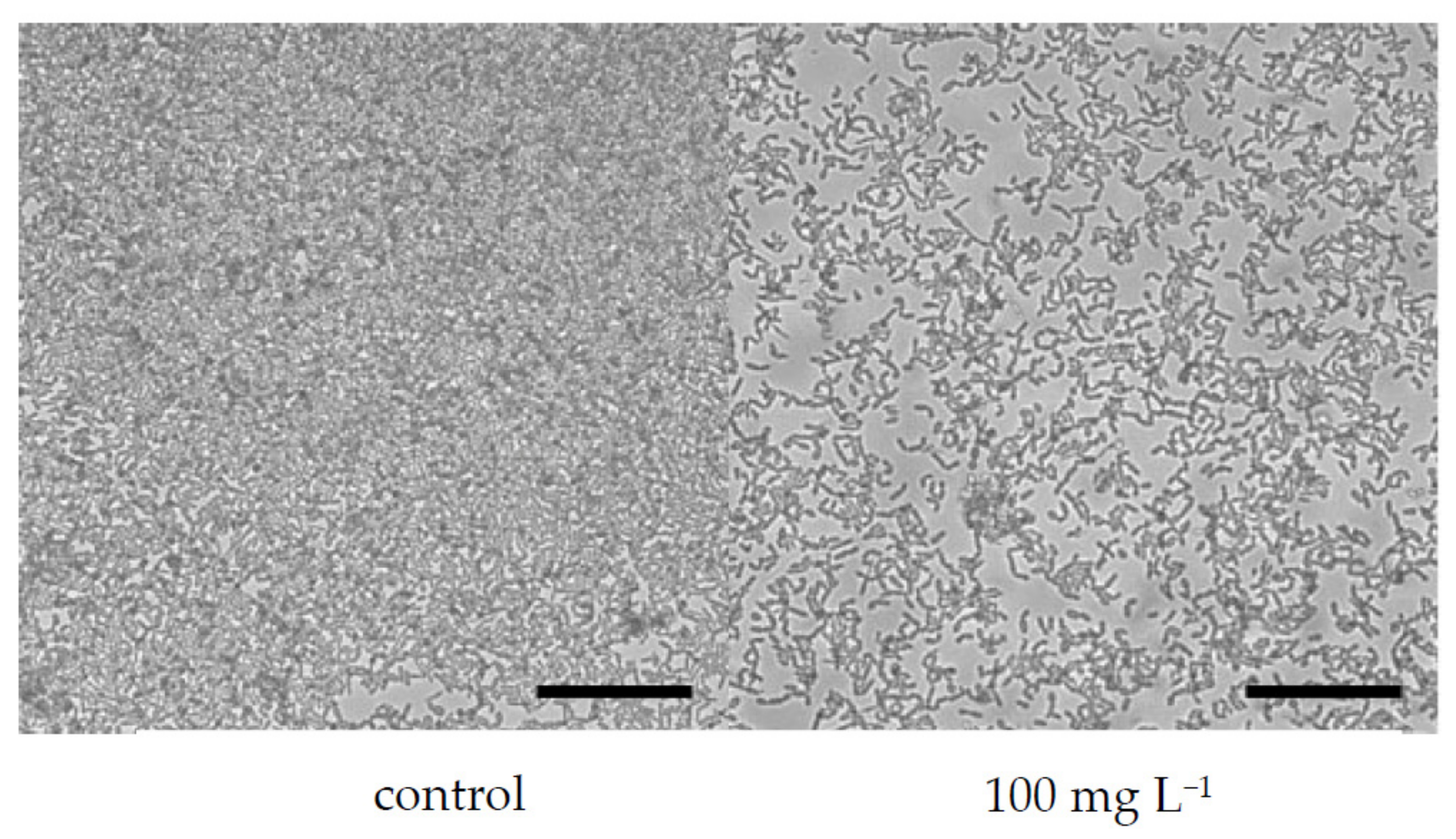 Microorganisms 10 00171 g004 550