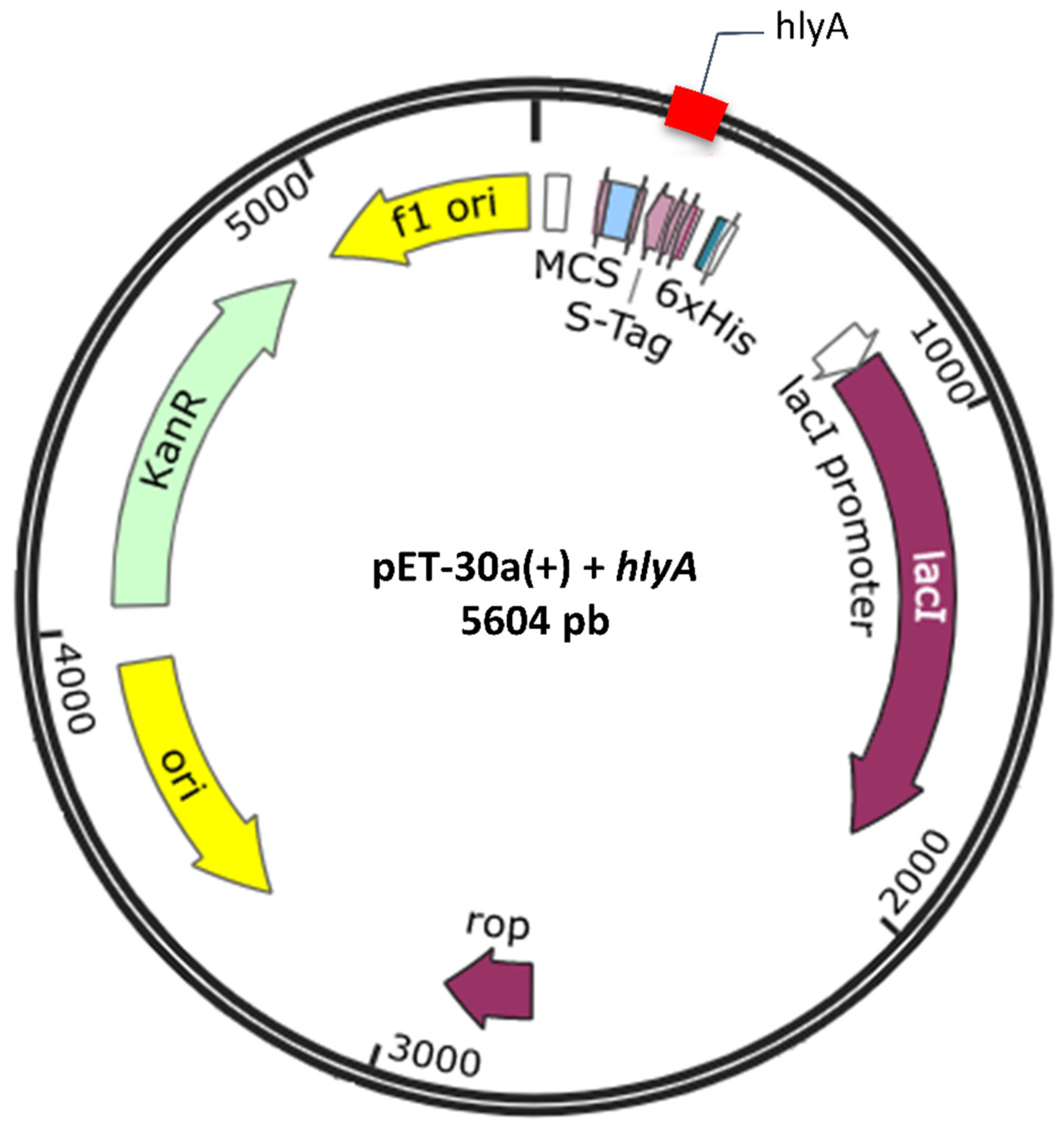 Microorganisms 10 00172 g003 Microorganisms 10 00172 g003