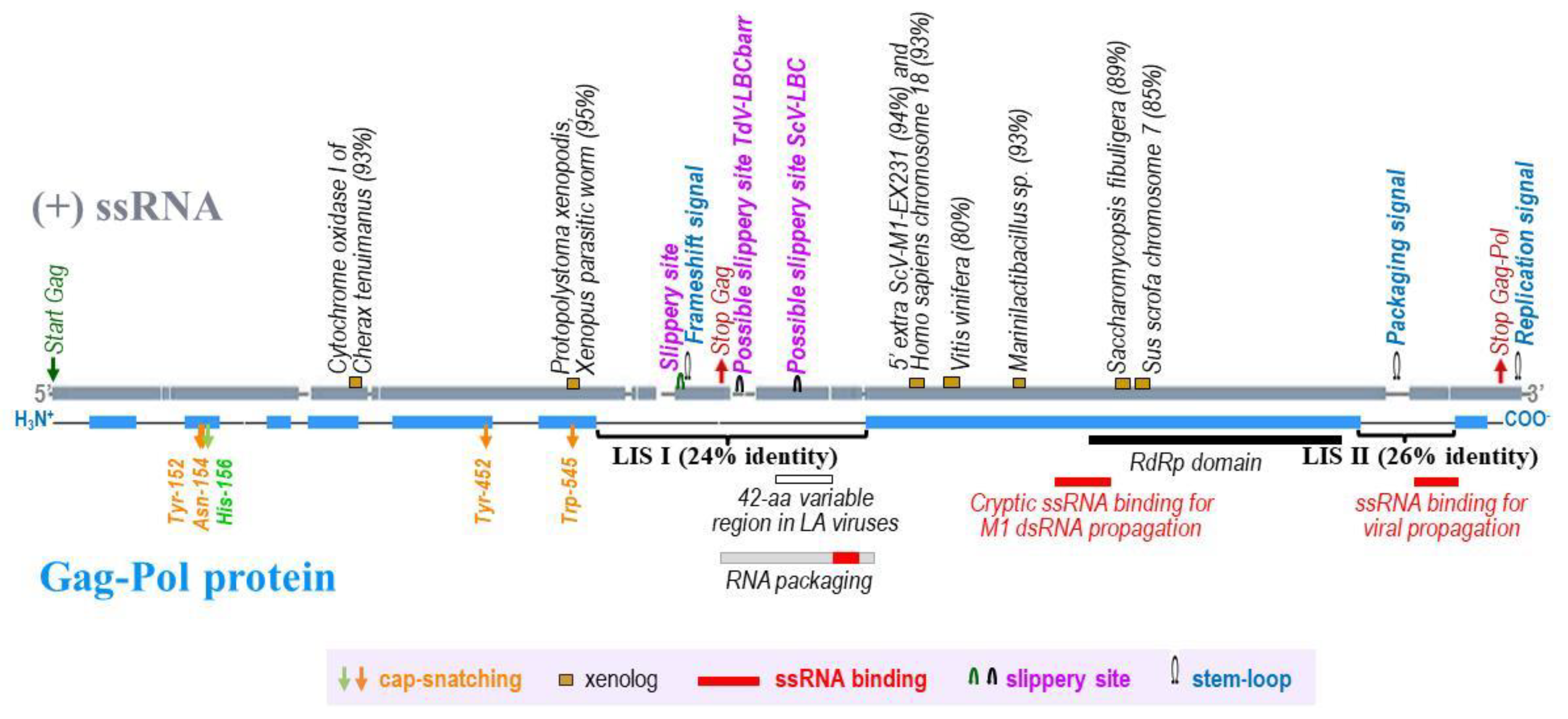 Microorganisms 10 00173 g001 550