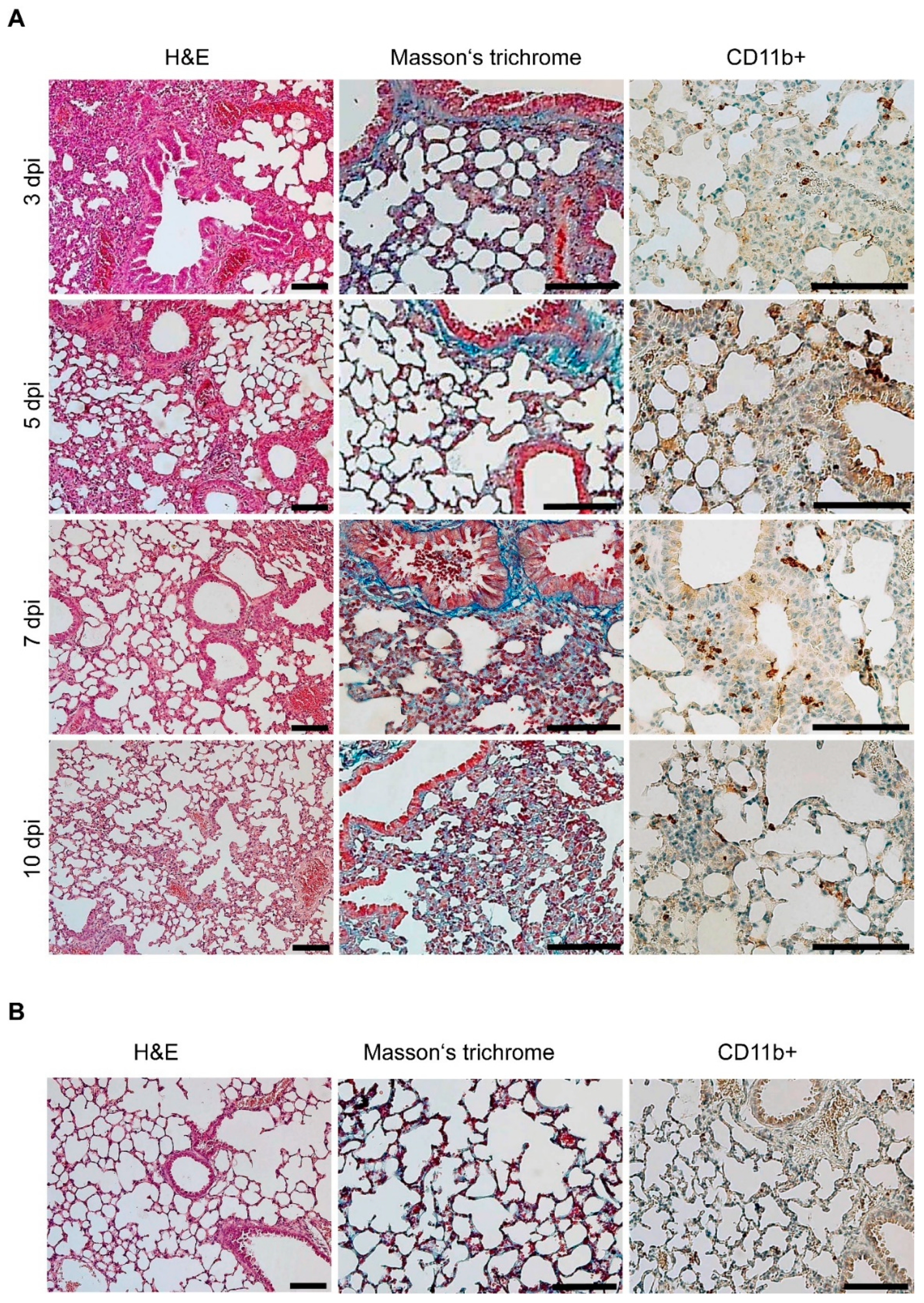 Microorganisms 10 00179 g004 Microorganisms 10 00179 g004