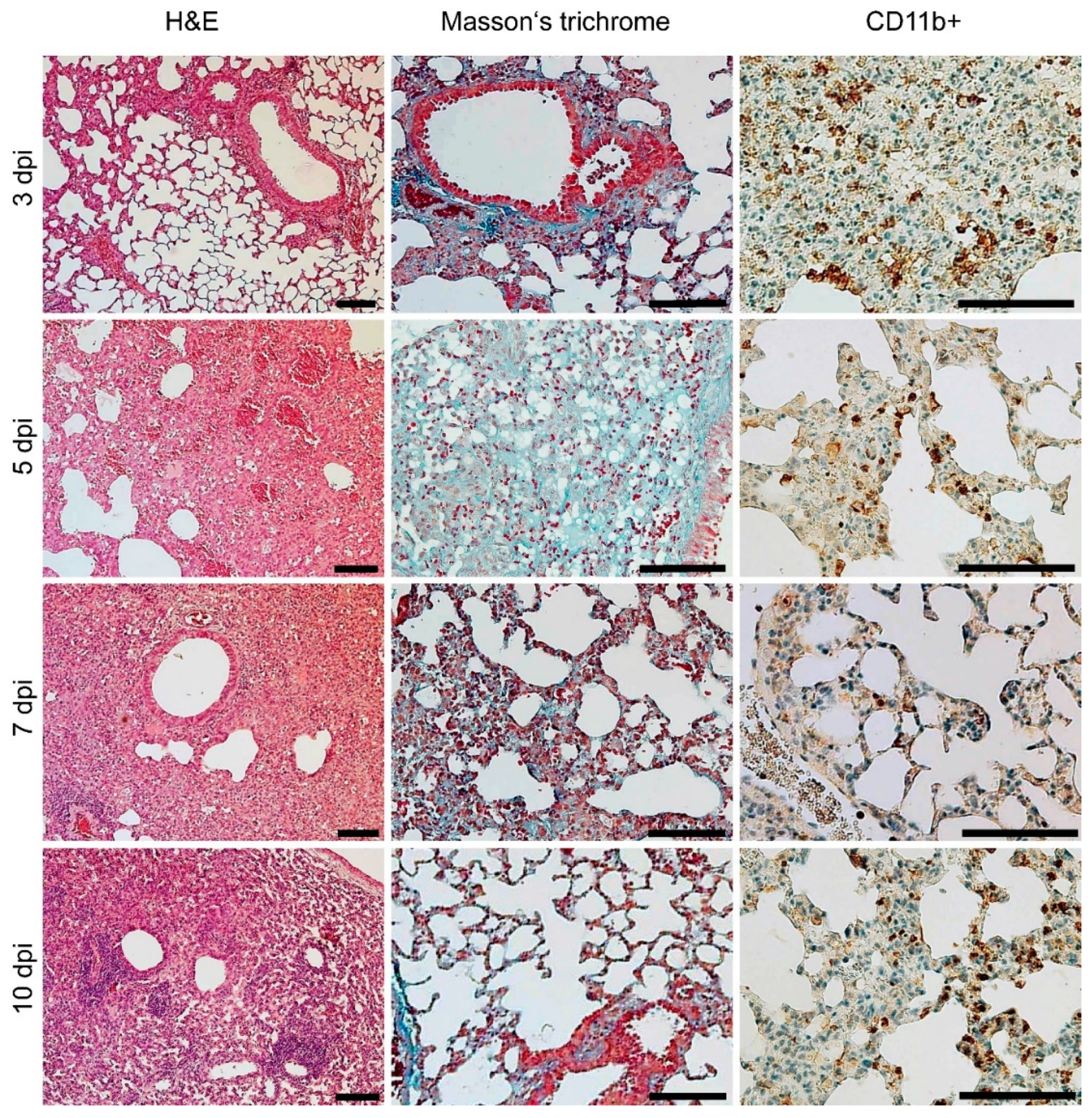 Microorganisms 10 00179 g005 Microorganisms 10 00179 g005