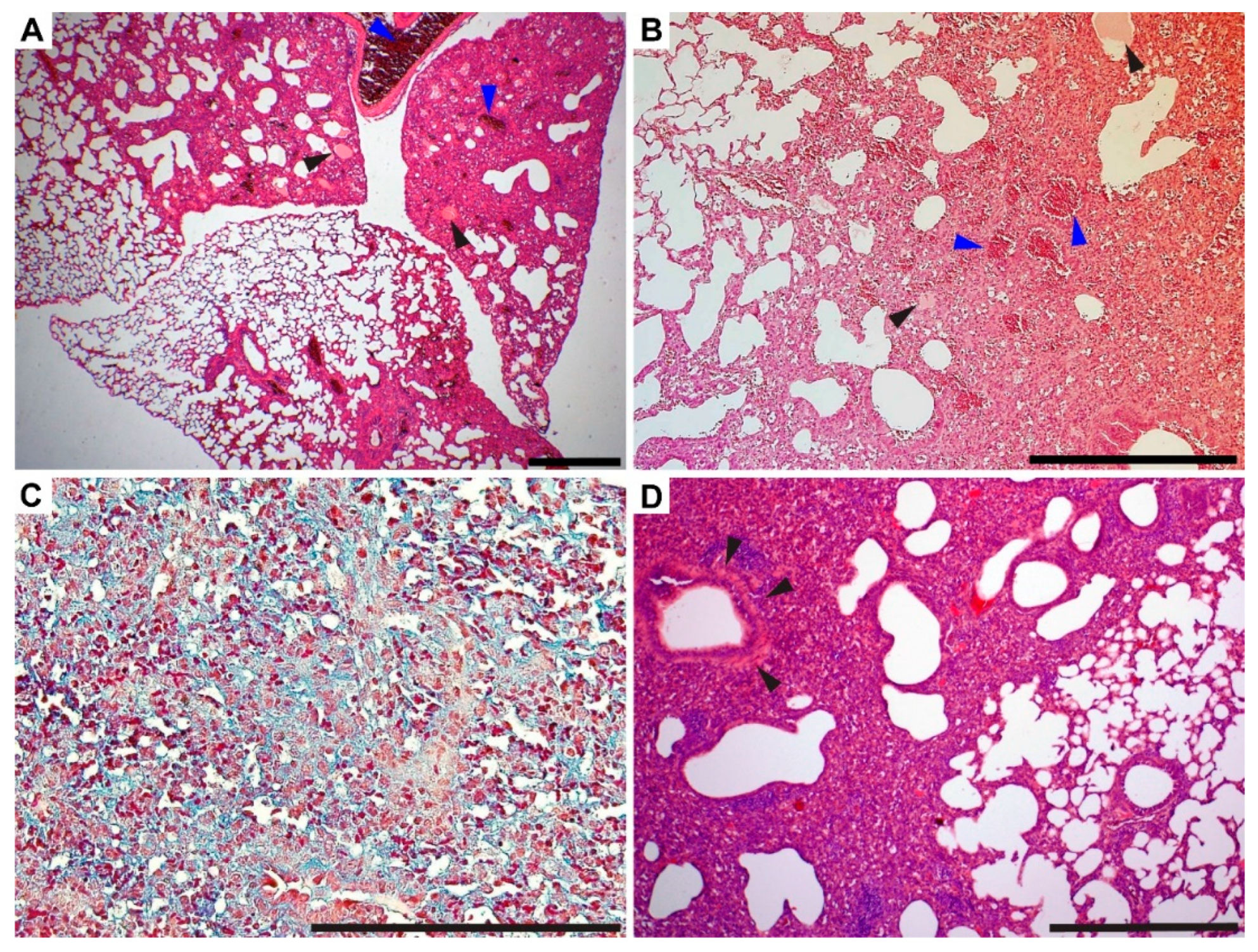 Microorganisms 10 00179 g006 Microorganisms 10 00179 g006