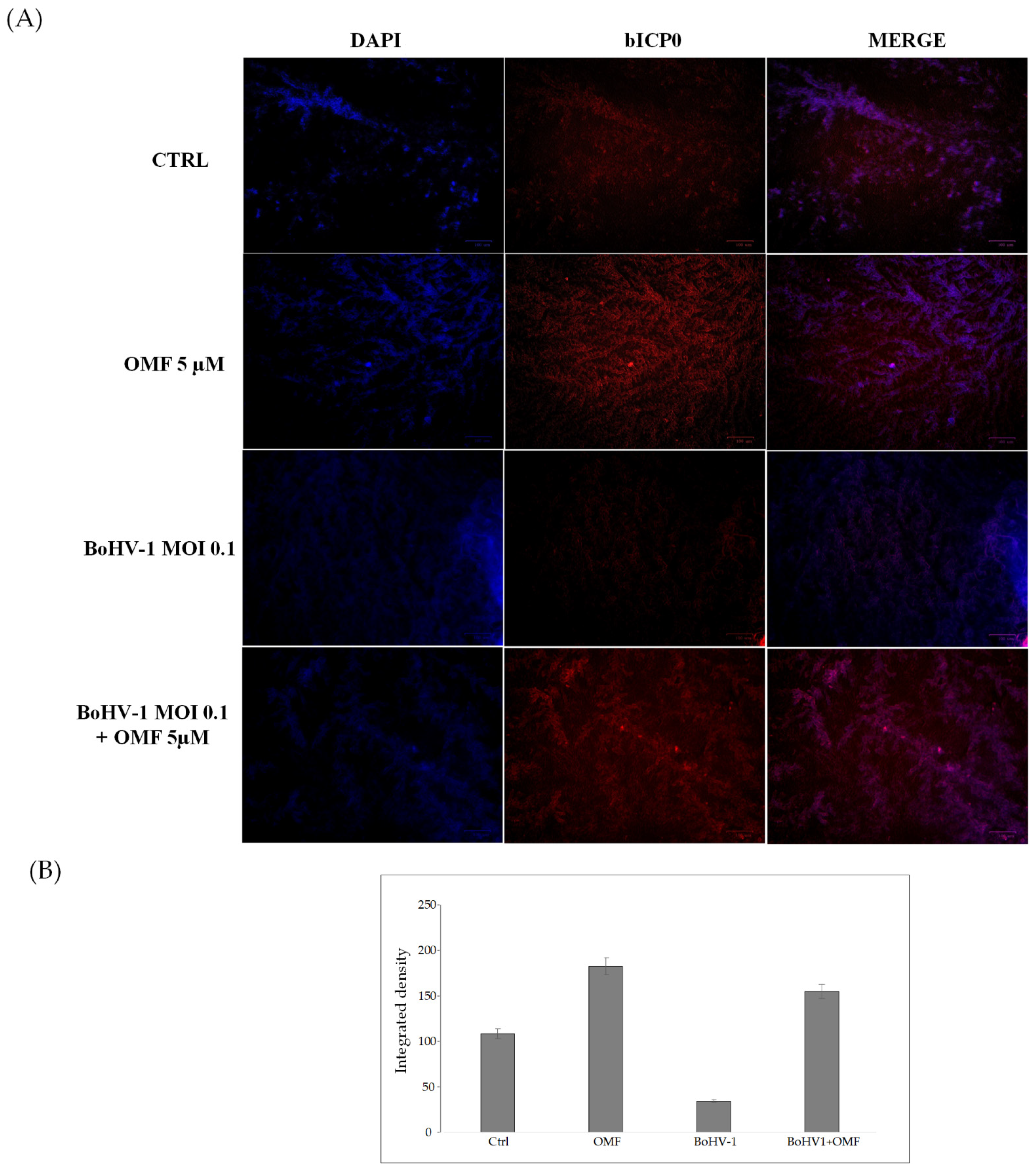 Microorganisms 10 00188 g007