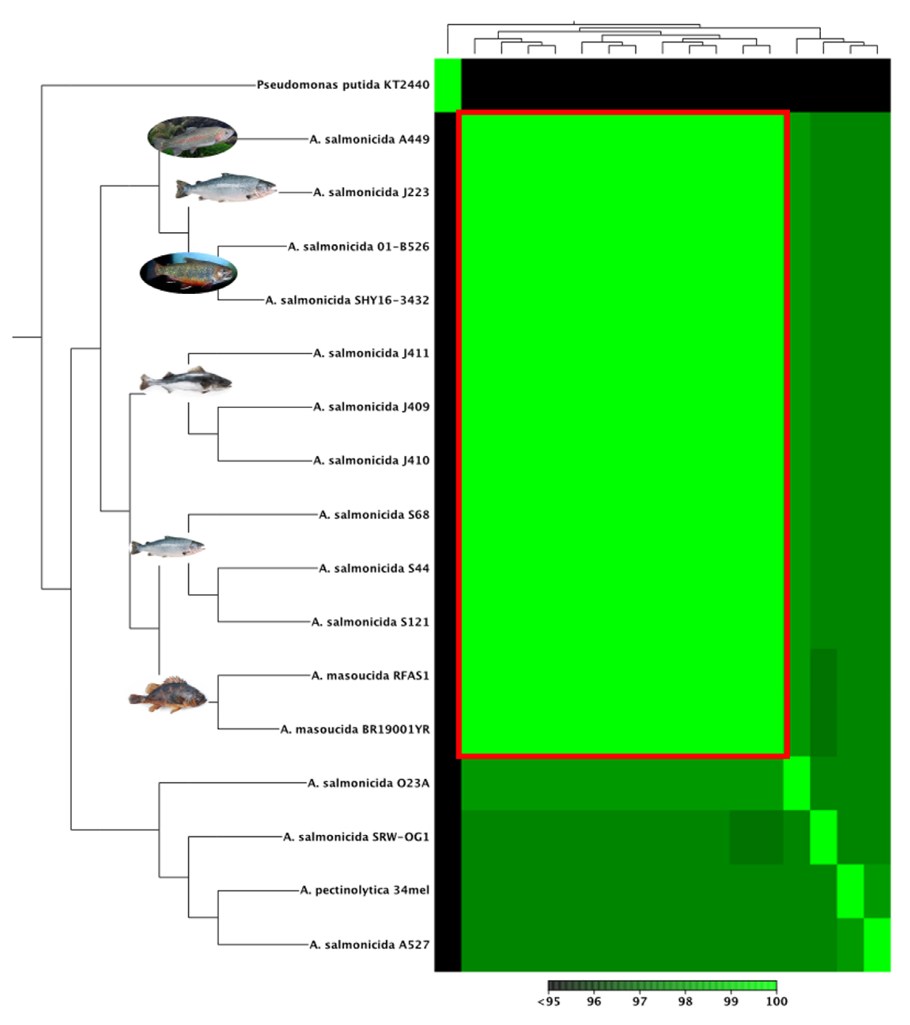 Microorganisms 10 00189 g004
