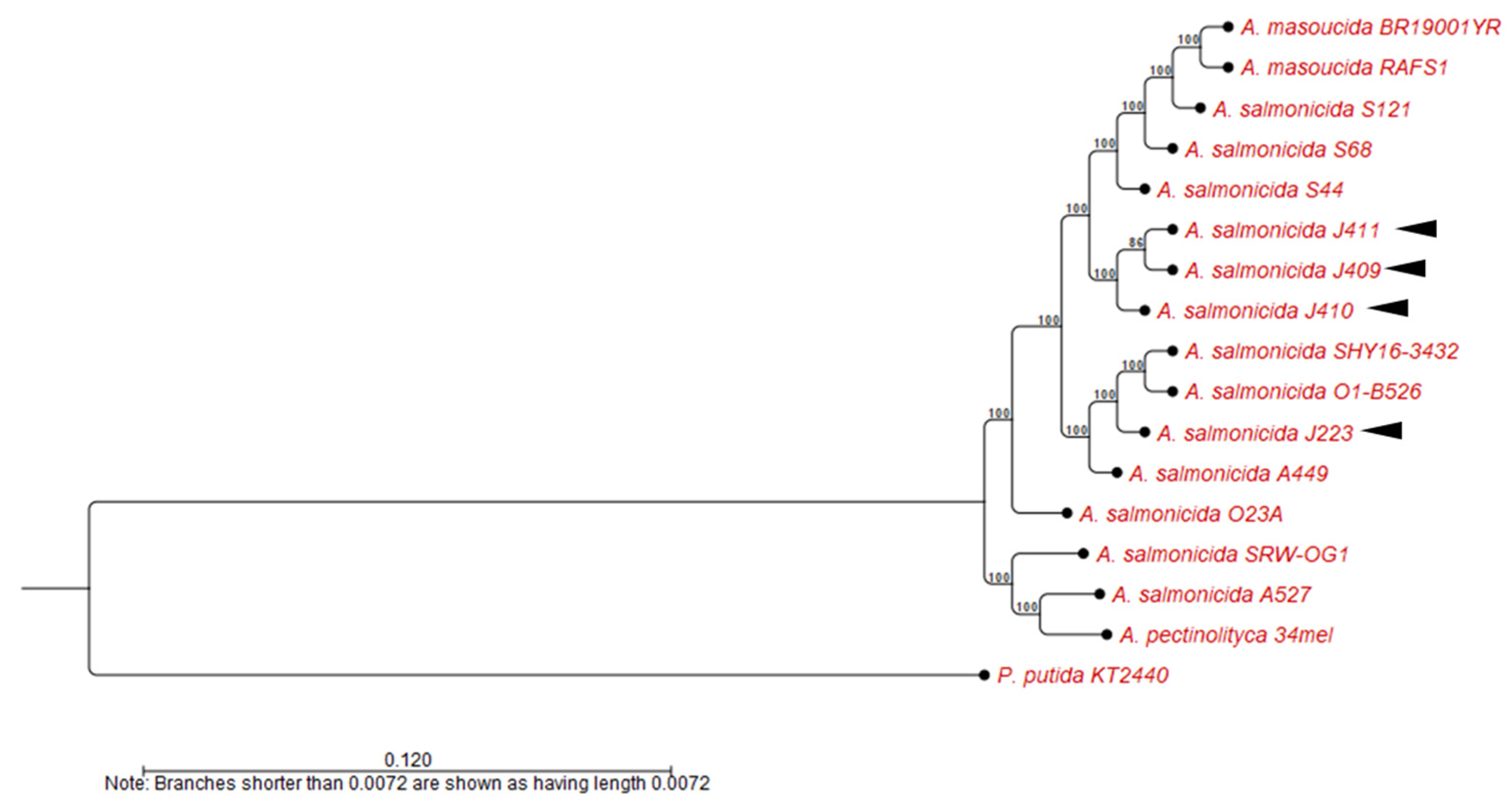 Microorganisms 10 00189 g005