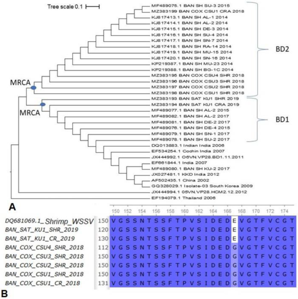 Microorganisms 10 00191 g004 Microorganisms 10 00191 g004