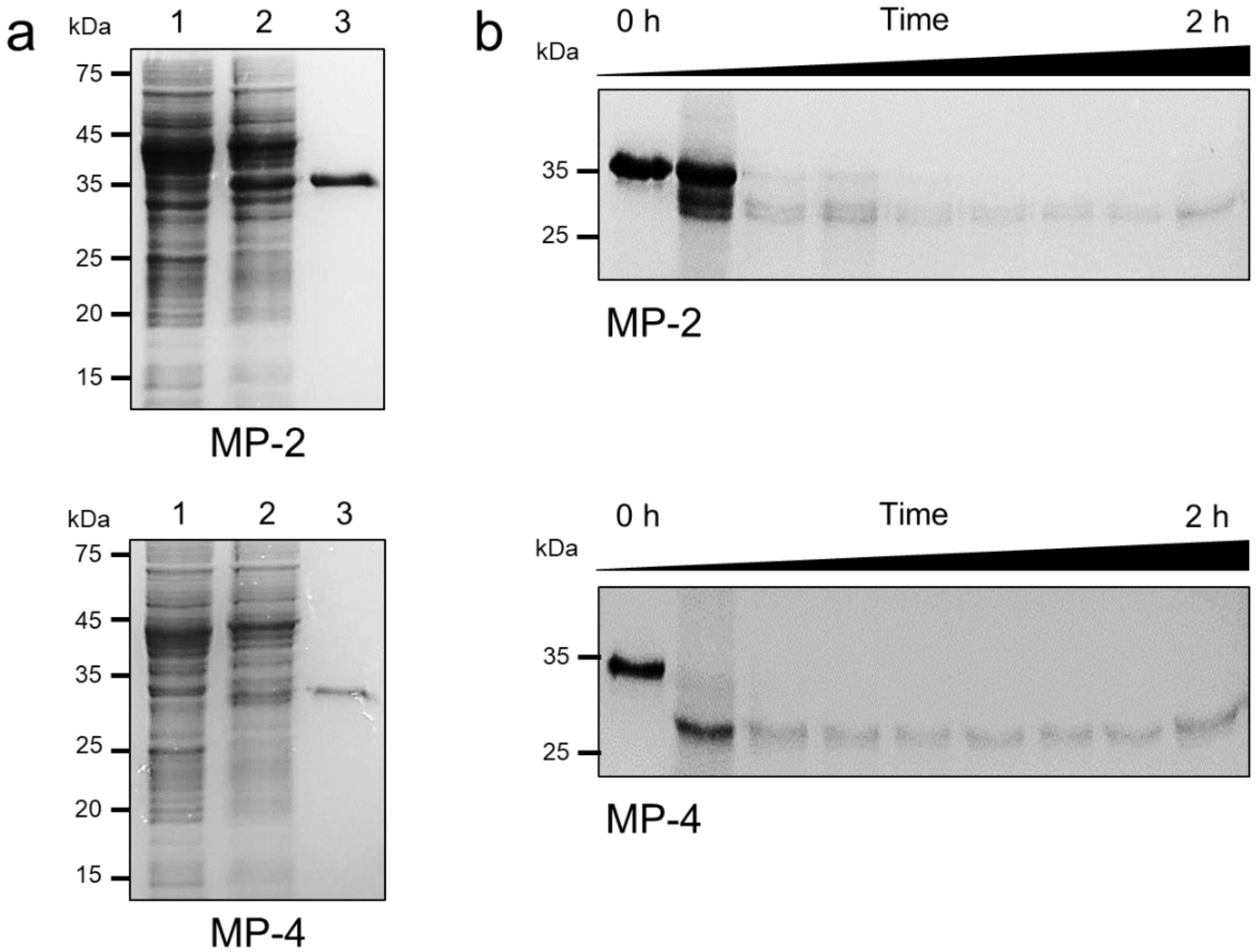 Microorganisms 10 00193 g003