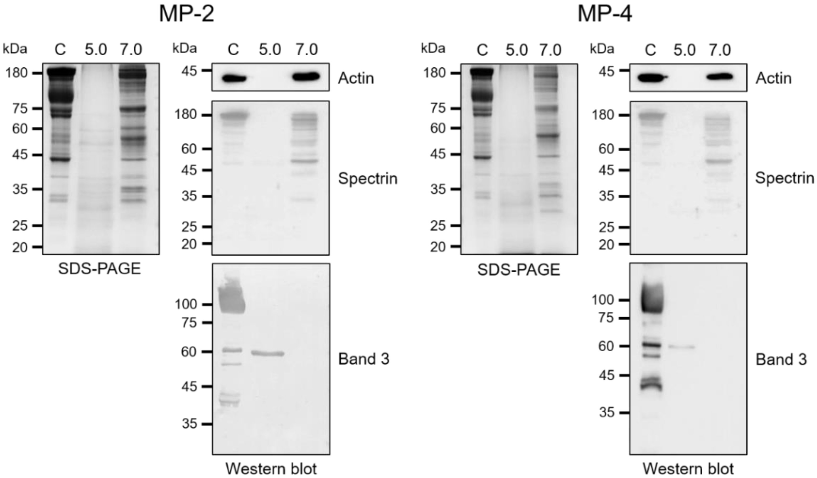 Microorganisms 10 00193 g006