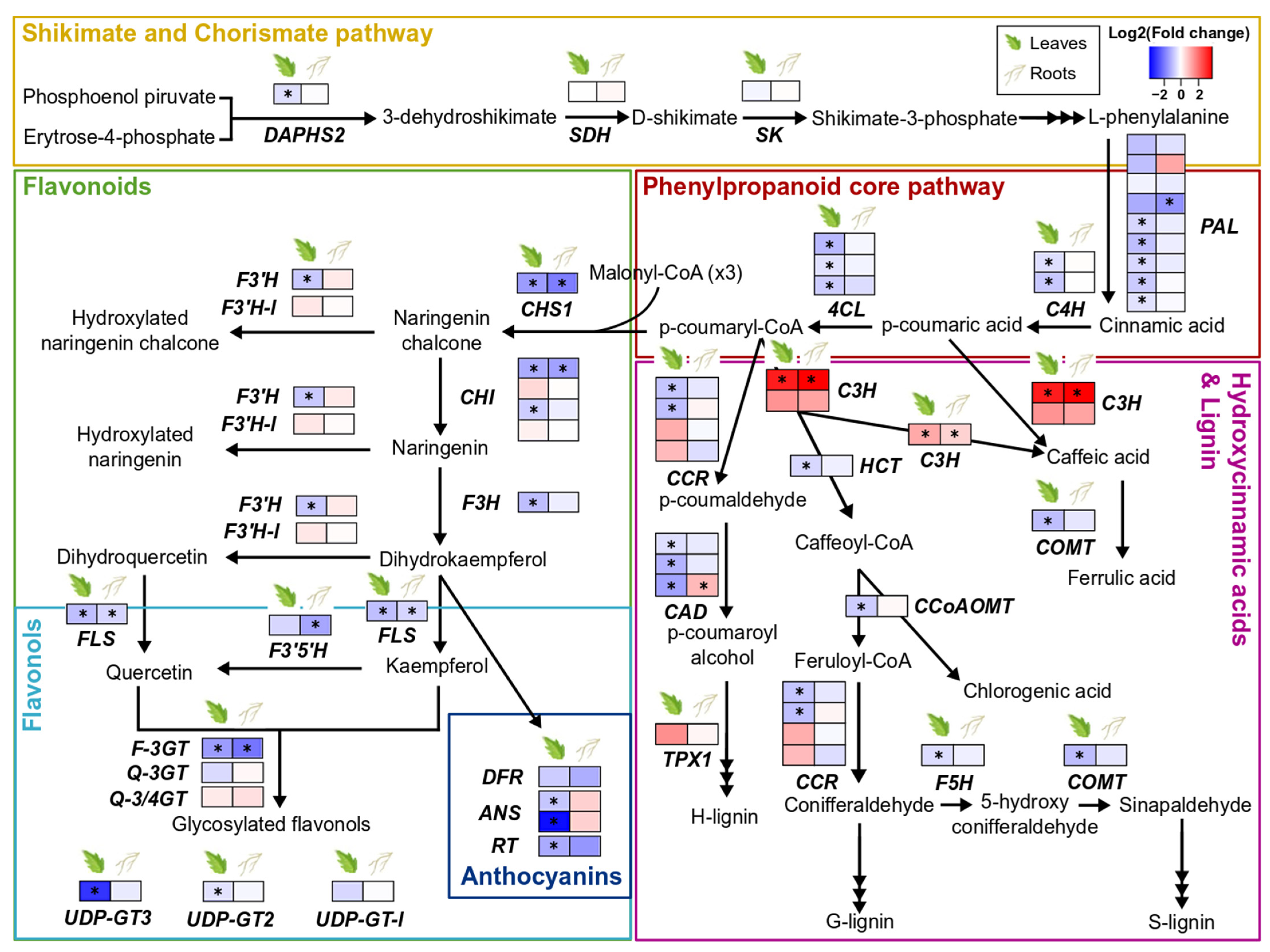 Microorganisms 10 00194 g003