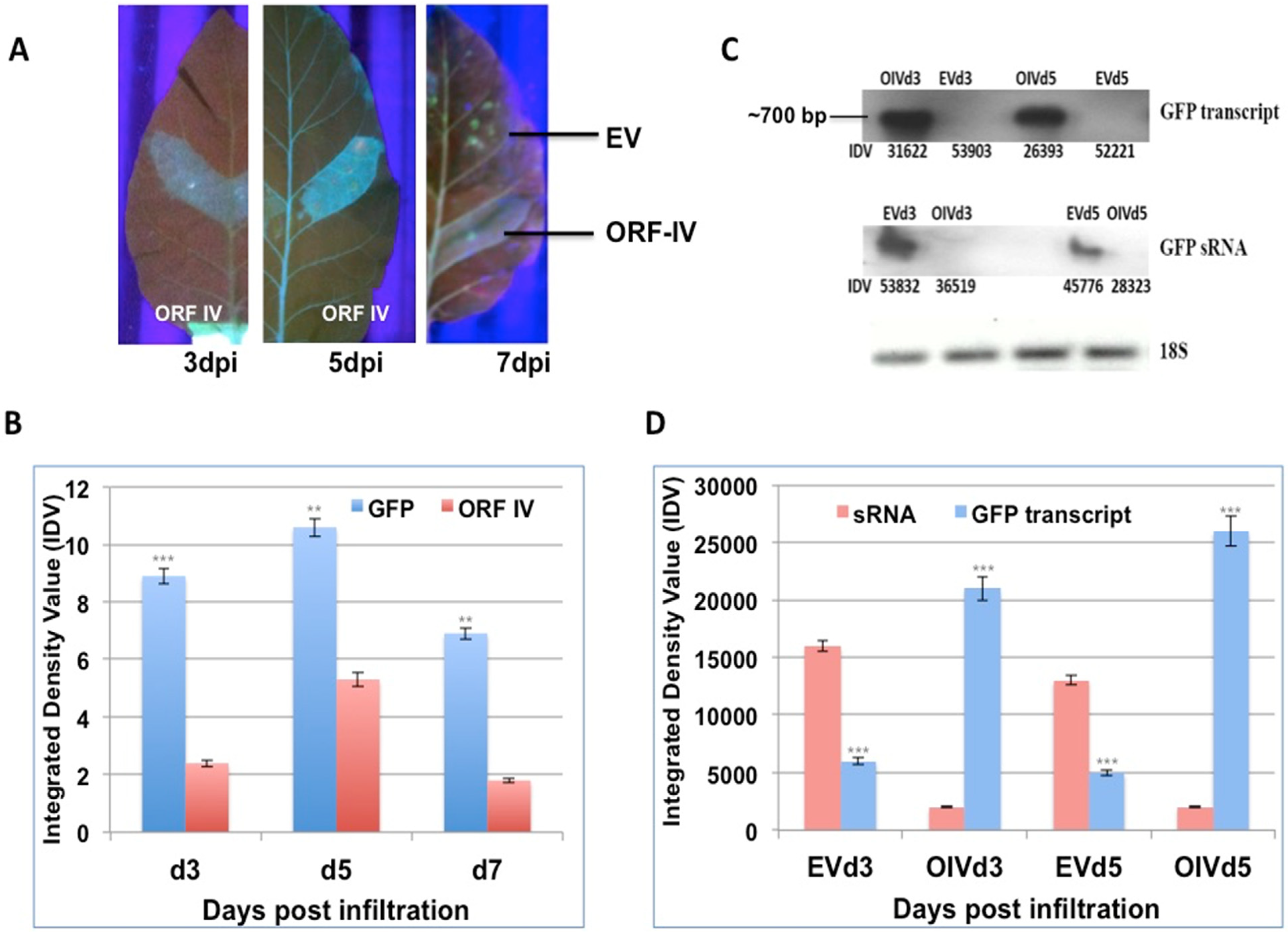 Microorganisms 10 00197 g002 Microorganisms 10 00197 g002