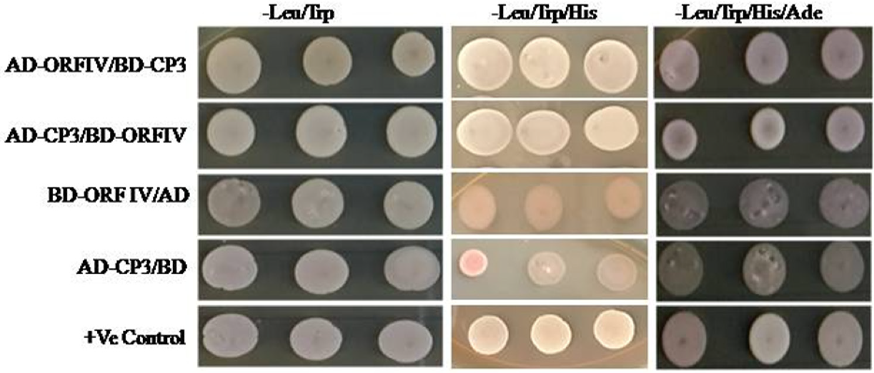 Microorganisms 10 00197 g004 Microorganisms 10 00197 g004