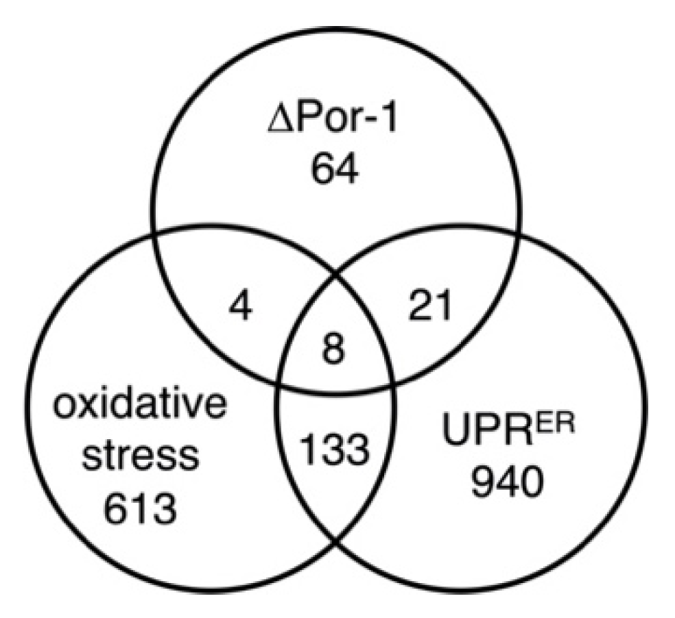 Microorganisms 10 00198 g003 Microorganisms 10 00198 g003