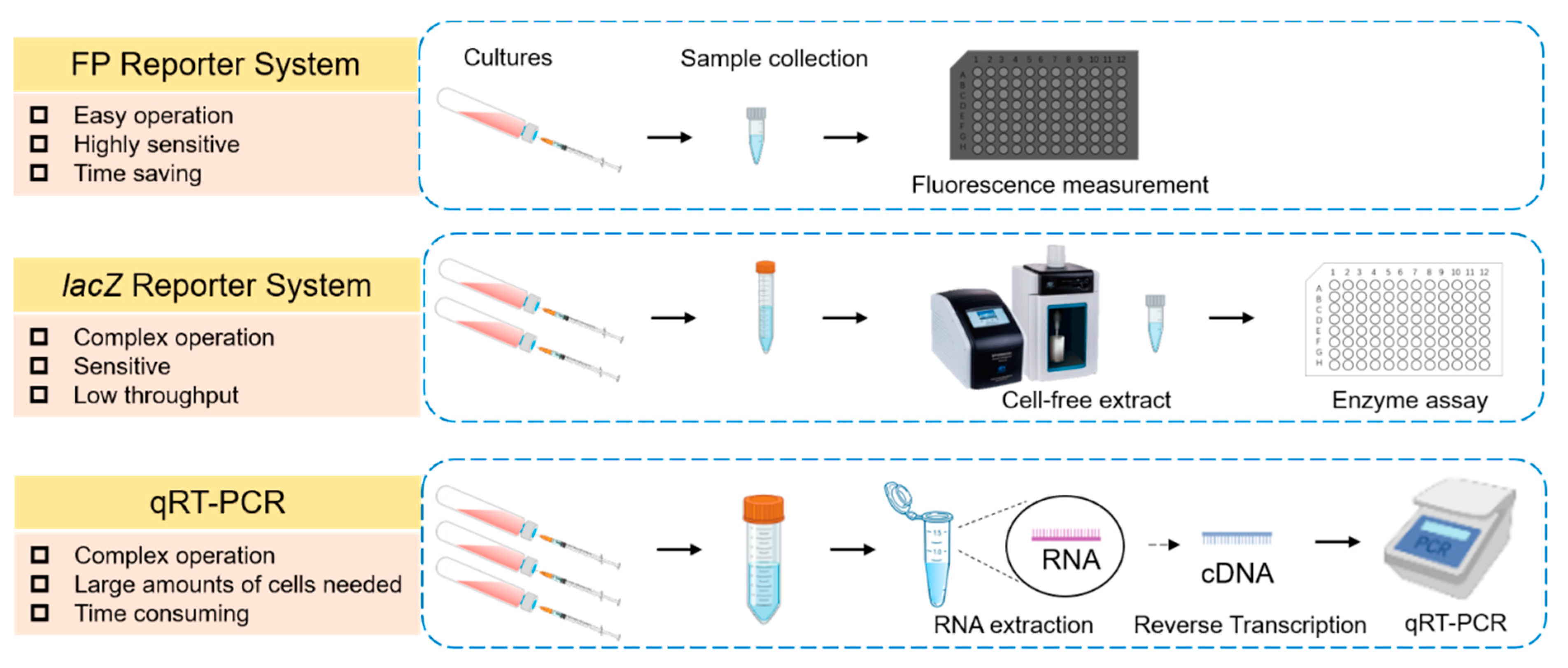 Microorganisms 10 00201 g001 Microorganisms 10 00201 g001