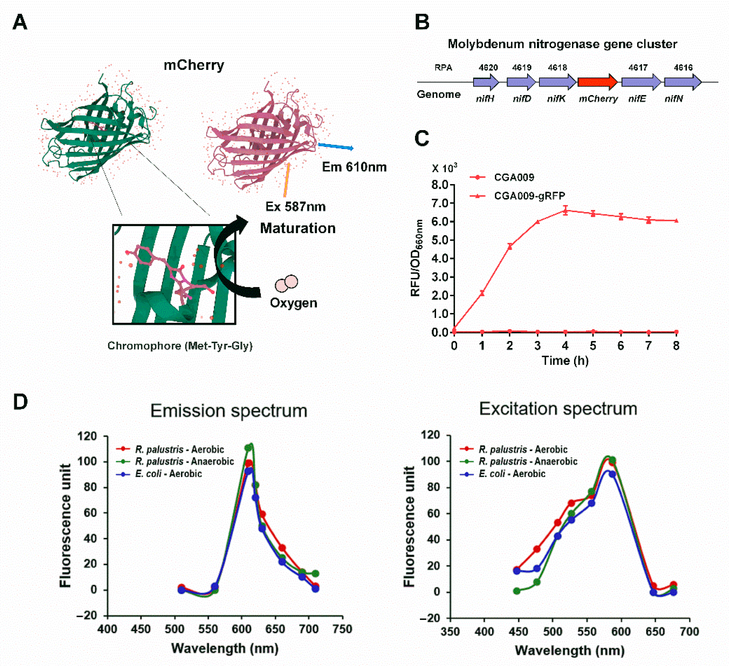 Microorganisms 10 00201 g002 Microorganisms 10 00201 g002