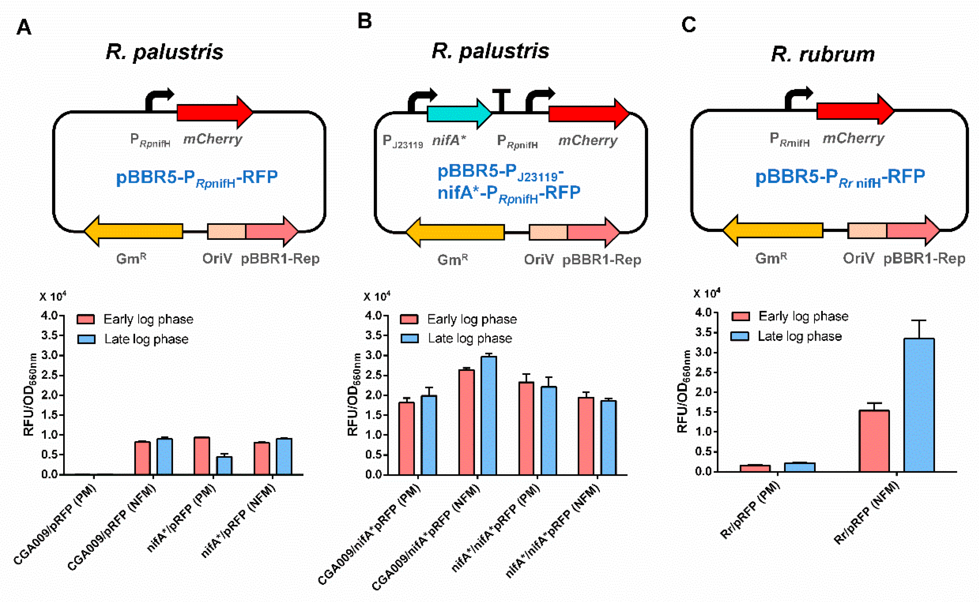 Microorganisms 10 00201 g006 Microorganisms 10 00201 g006