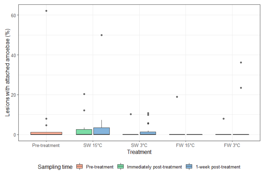Microorganisms 10 00202 g007 550