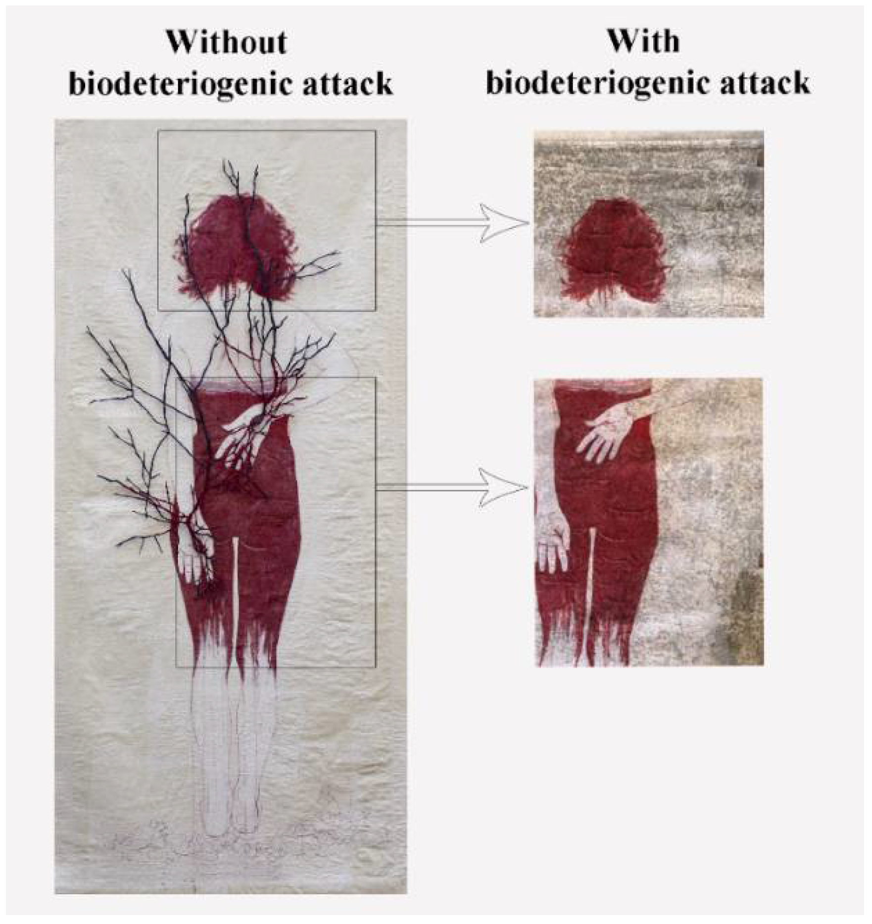 Microorganisms 10 00205 g001